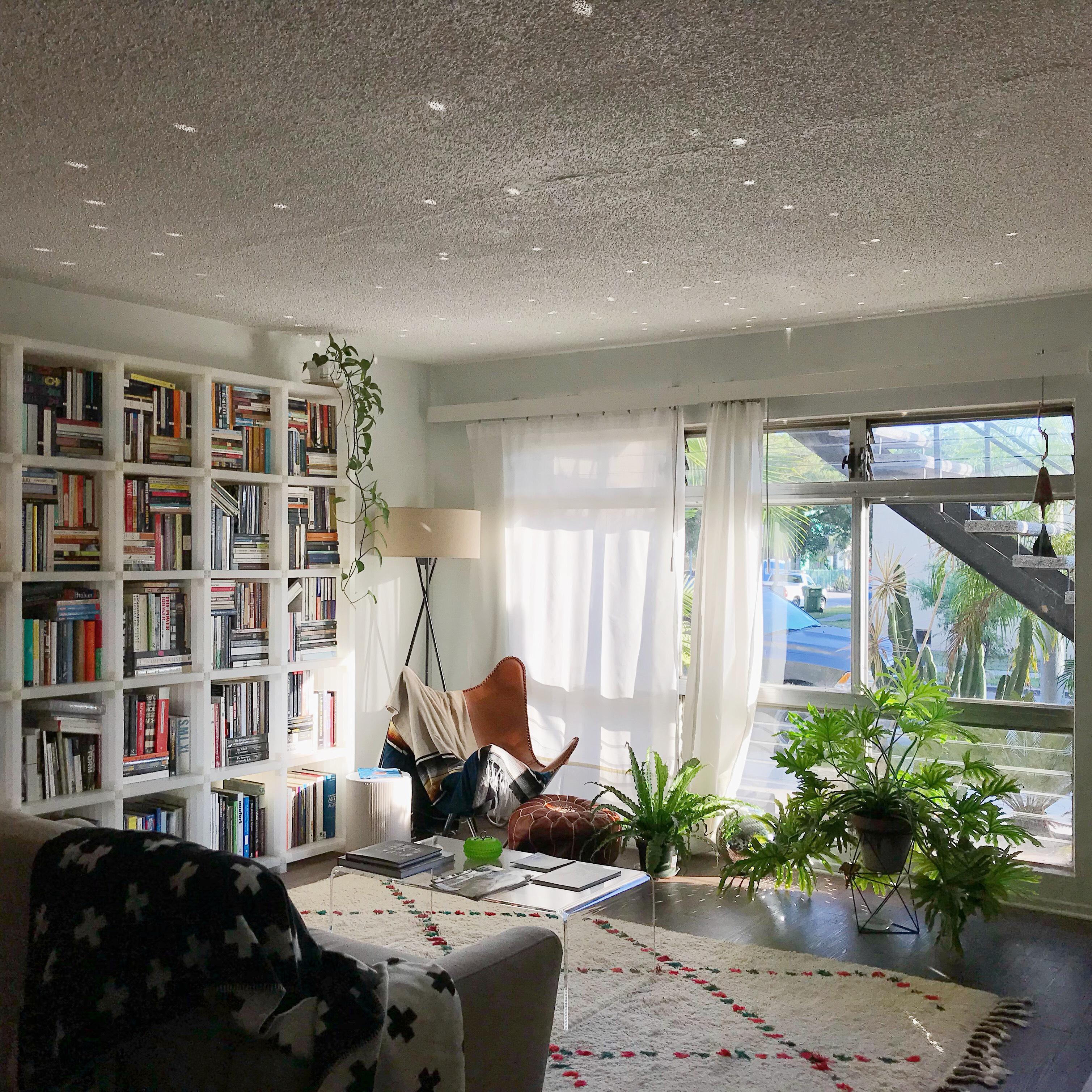 Morning light in my living room, Los Angeles AmateurRoomPorn
