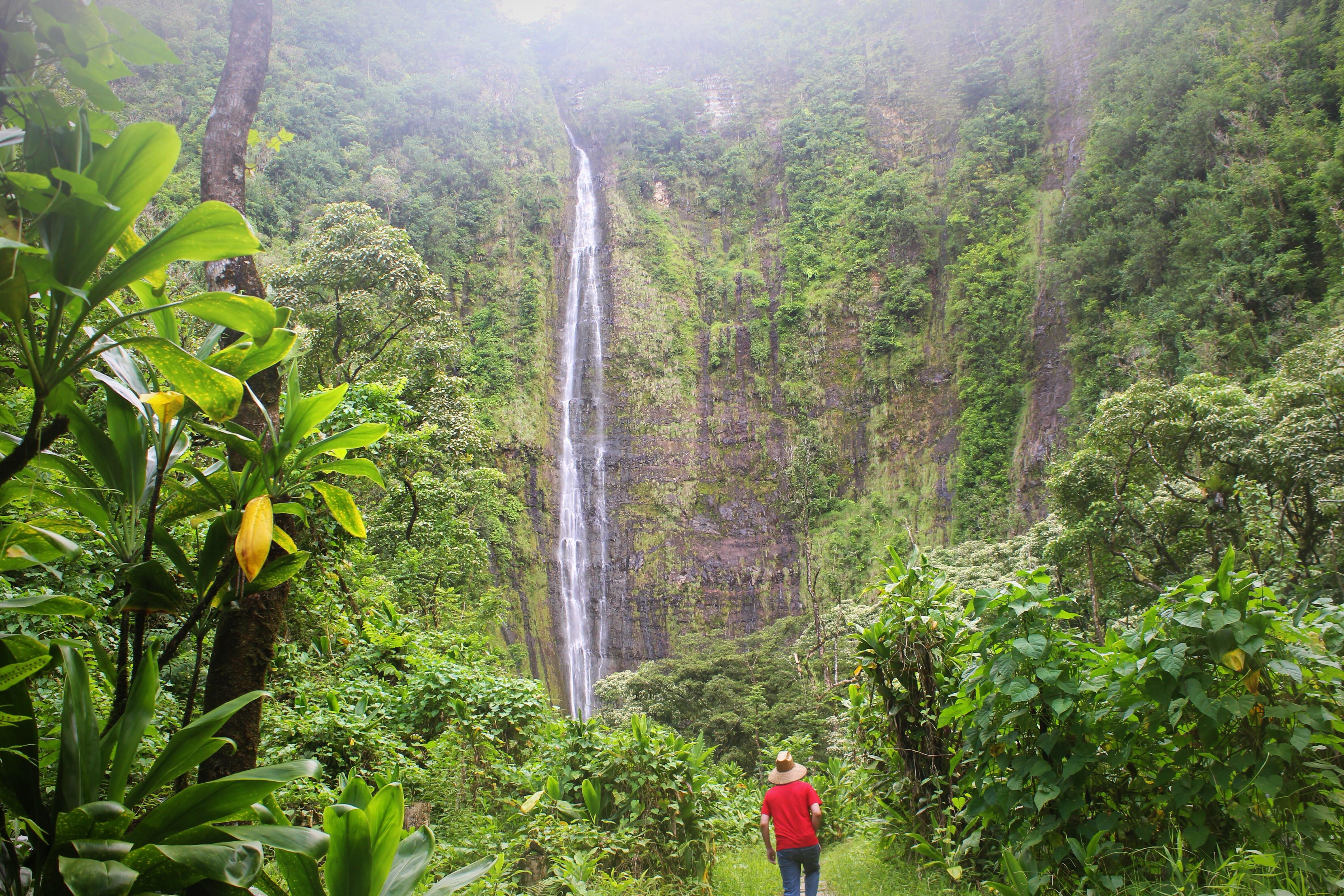 Waimoku Falls at the end of the Pipiwai Trail in Maui, Hawaii r/travel