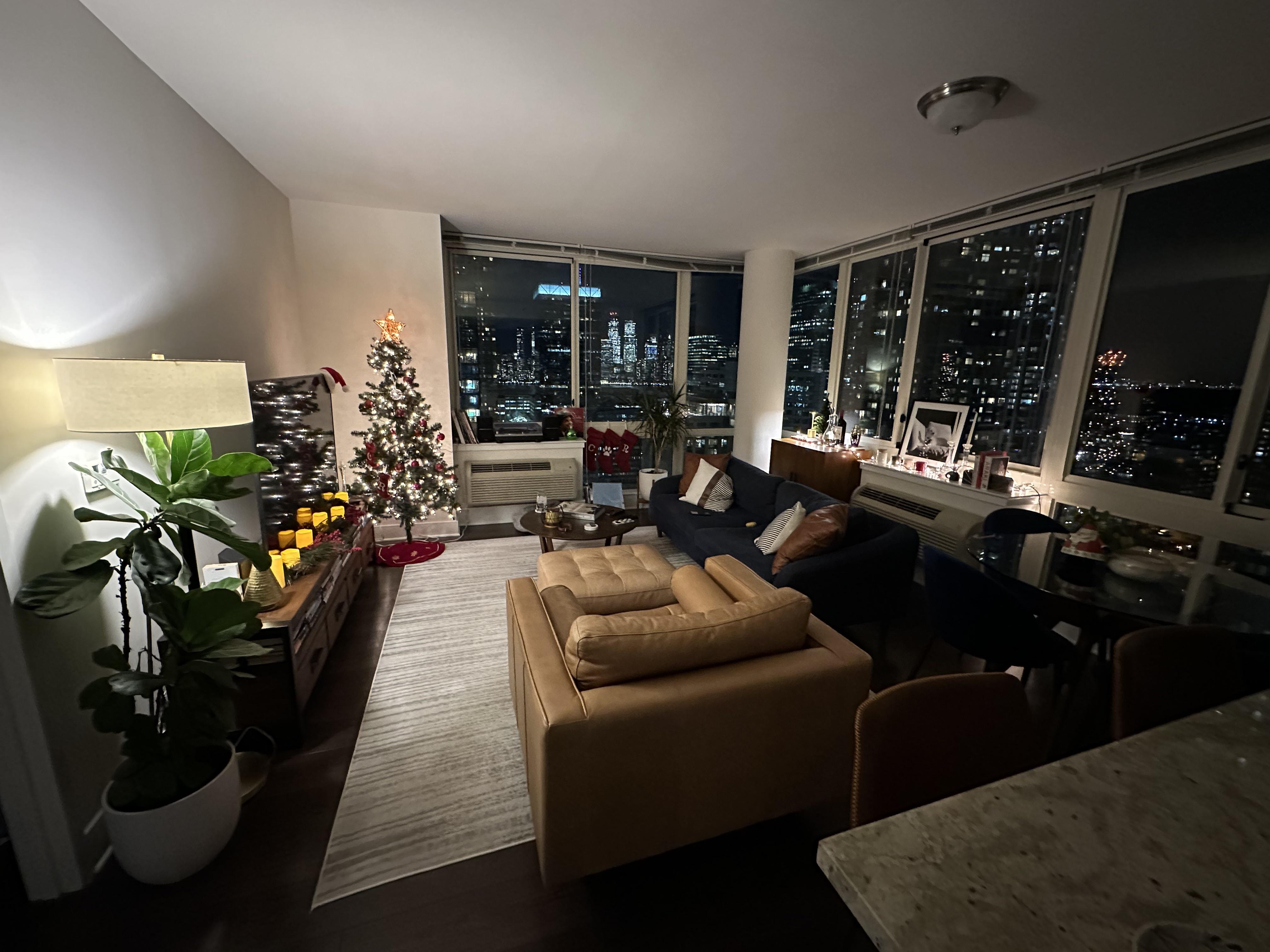 My living room (Jersey City, NJ). Xmas time. r/CozyPlaces