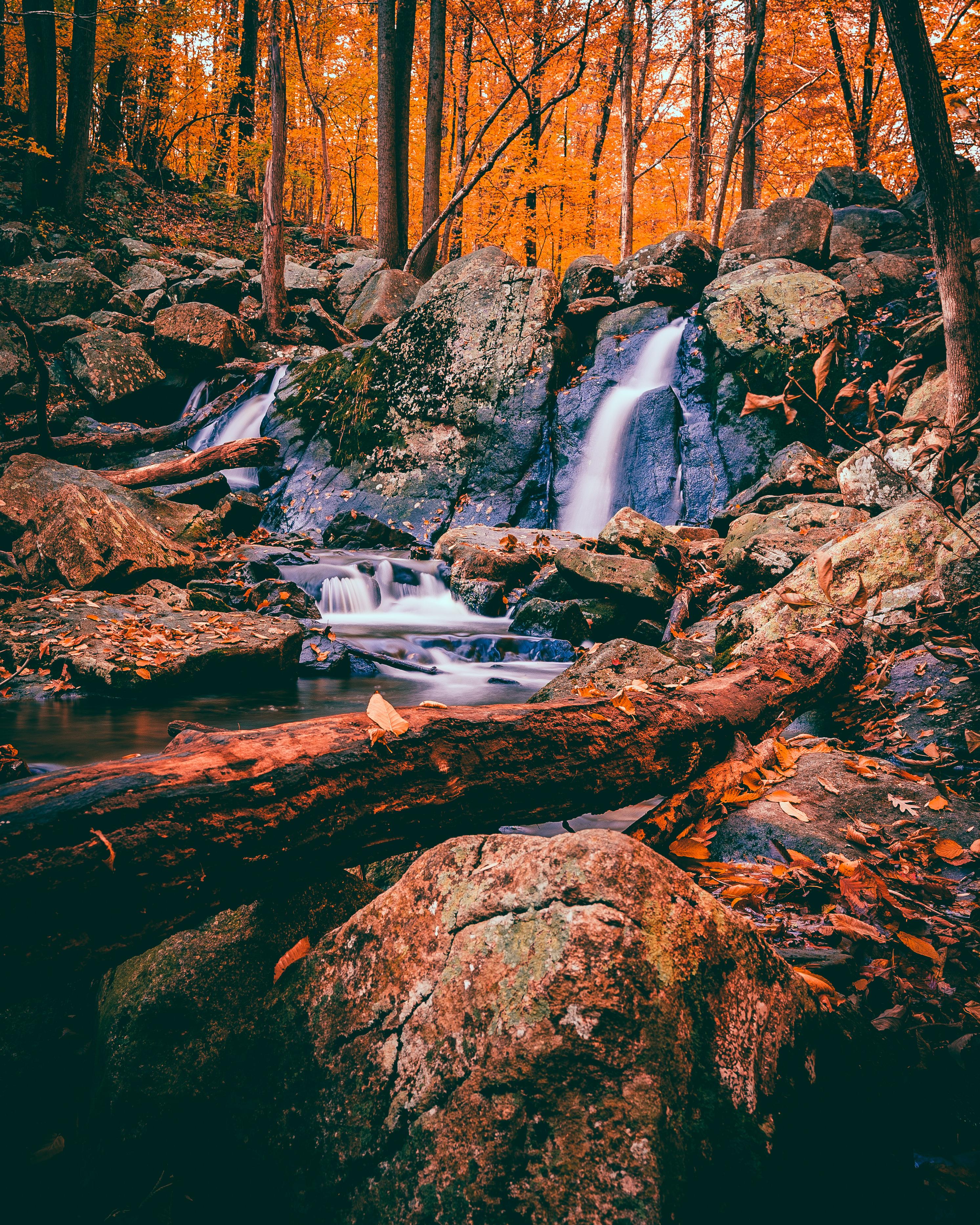 Waterfall in Hacklebarney State Park (Chester, NJ). [2986 × 3733] [OC