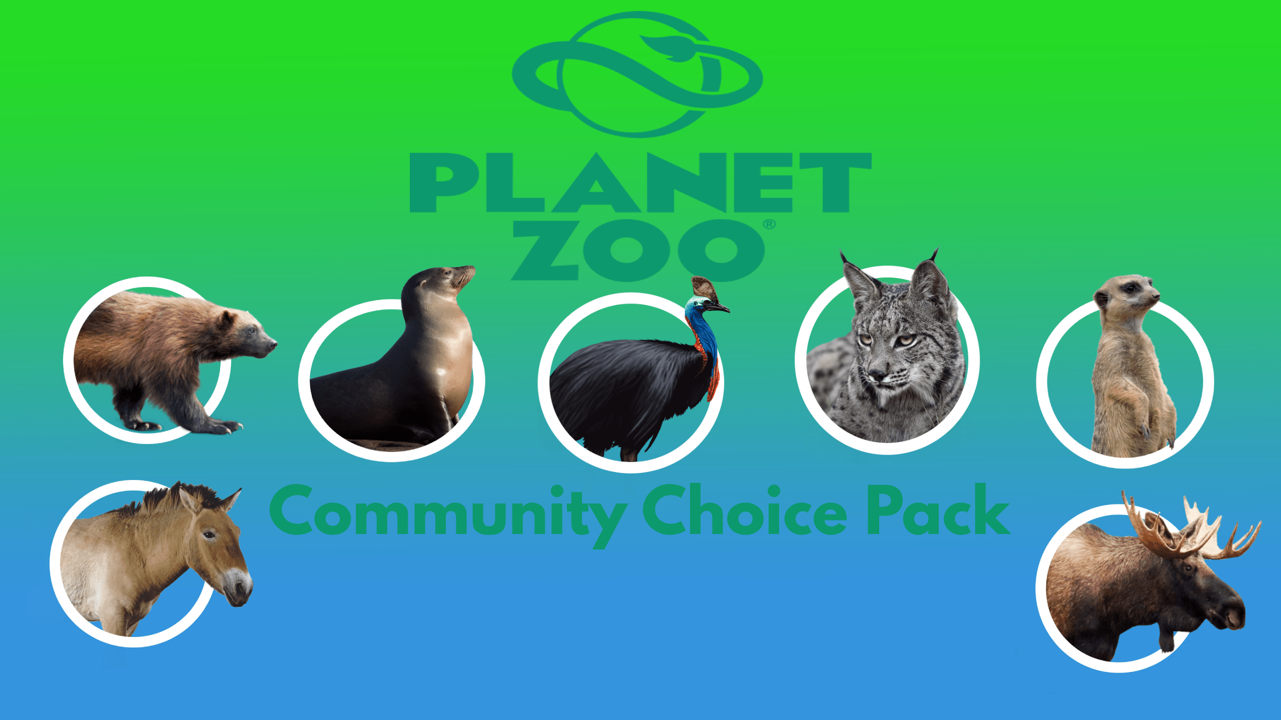 Introducing The Zoo Reddit Community Choice Pack!