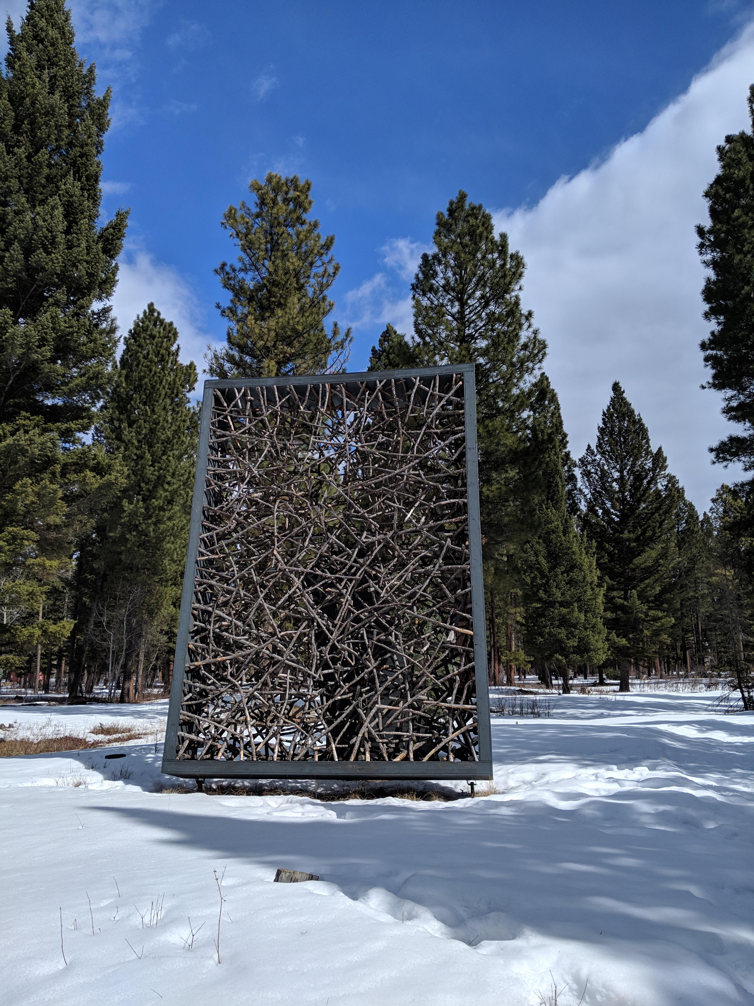 Sculptures In The Wild Lincoln at Joanne Picklesimer blog