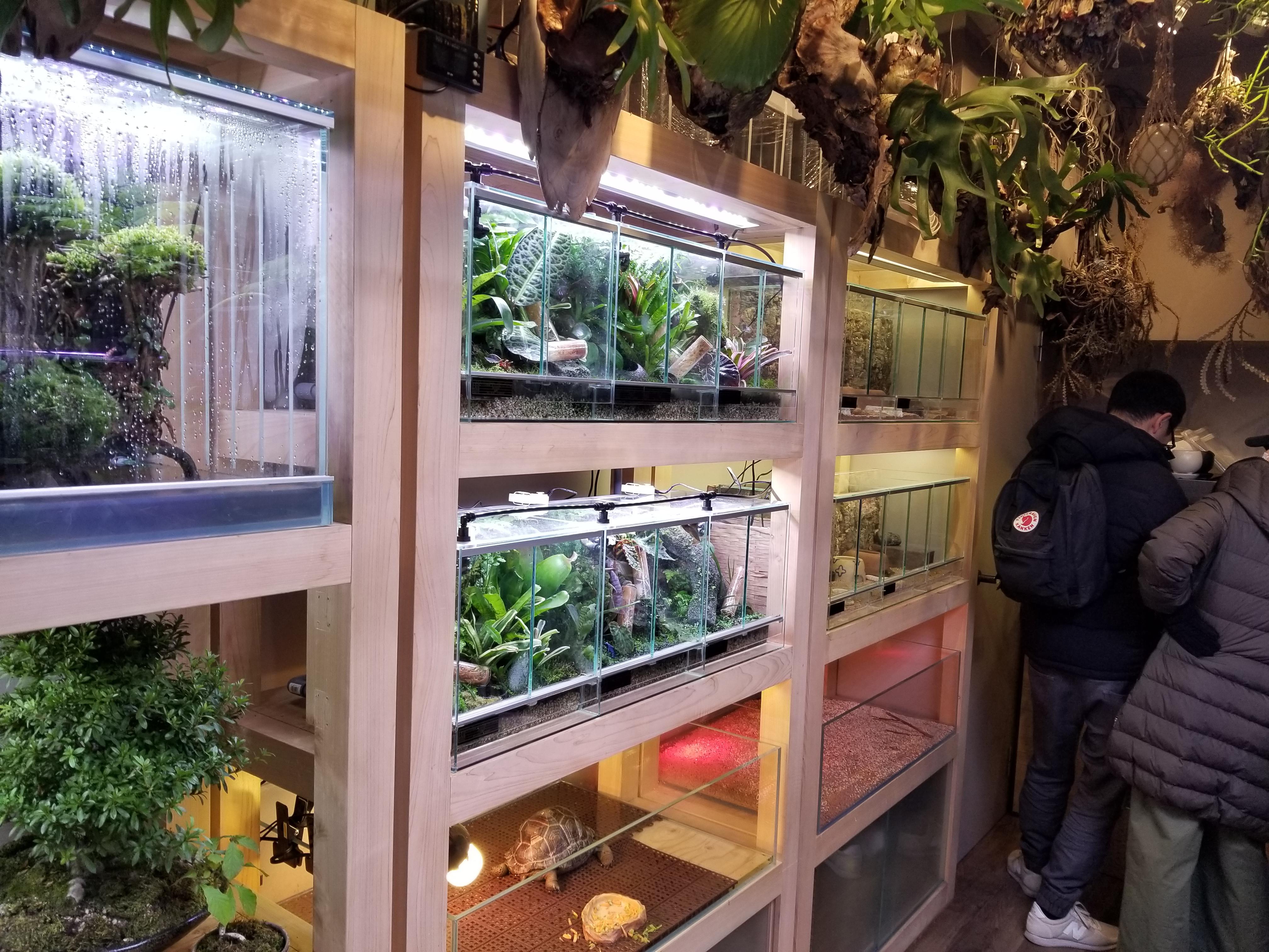 Spread in Tokyo's coolest pet shop... r/frogs