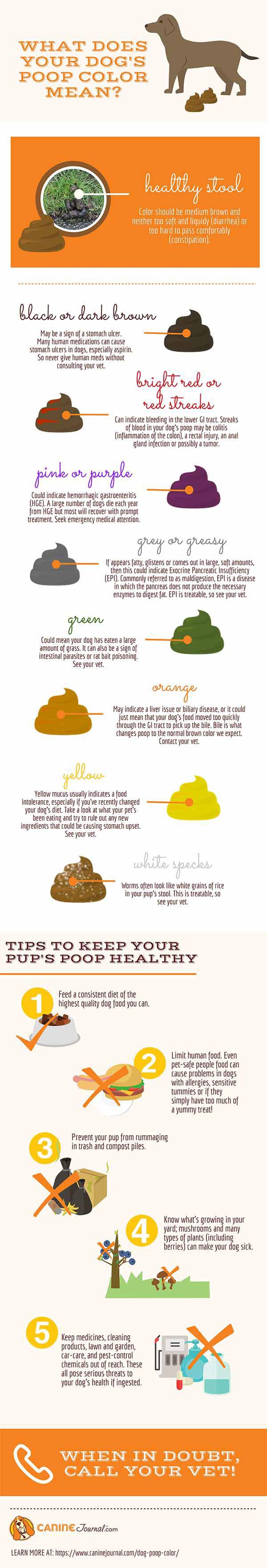 Check your dog’s poop color! r/coolguides