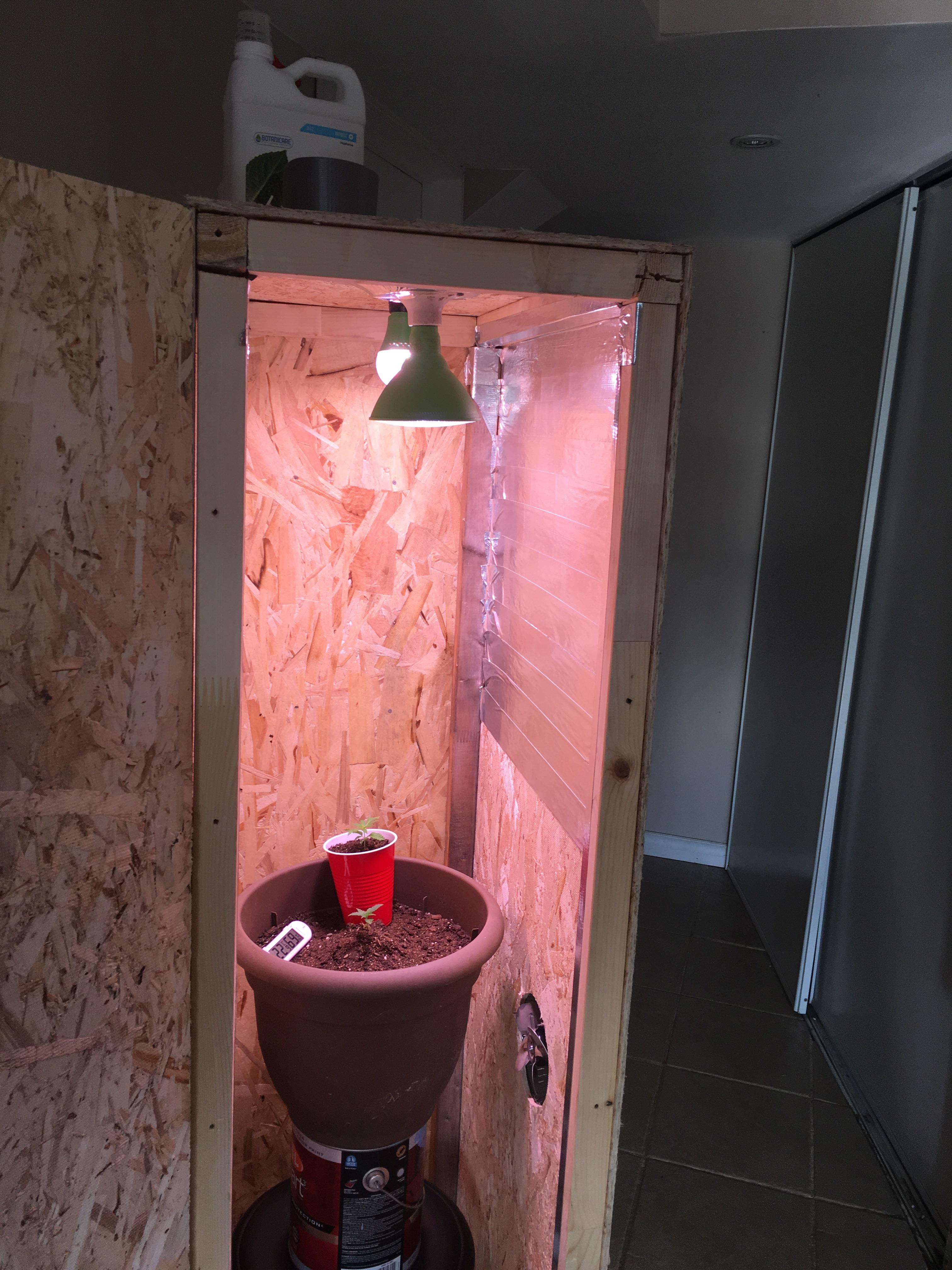 Upgraded from a space bucket to a diy growbox needing better lighting