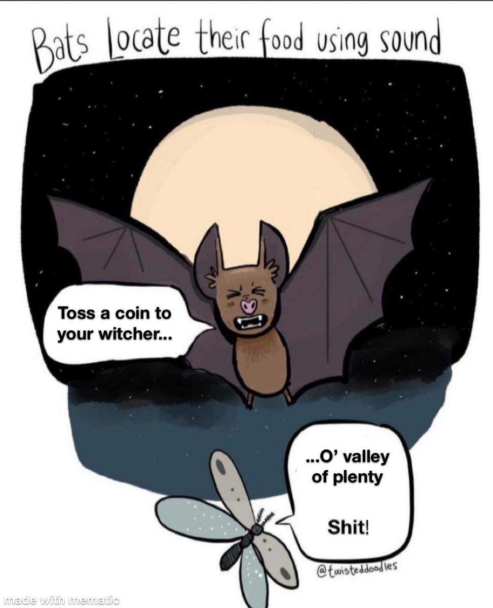 Bats locate their food using sound... (credit to Bradfishuk) r/TossACoin