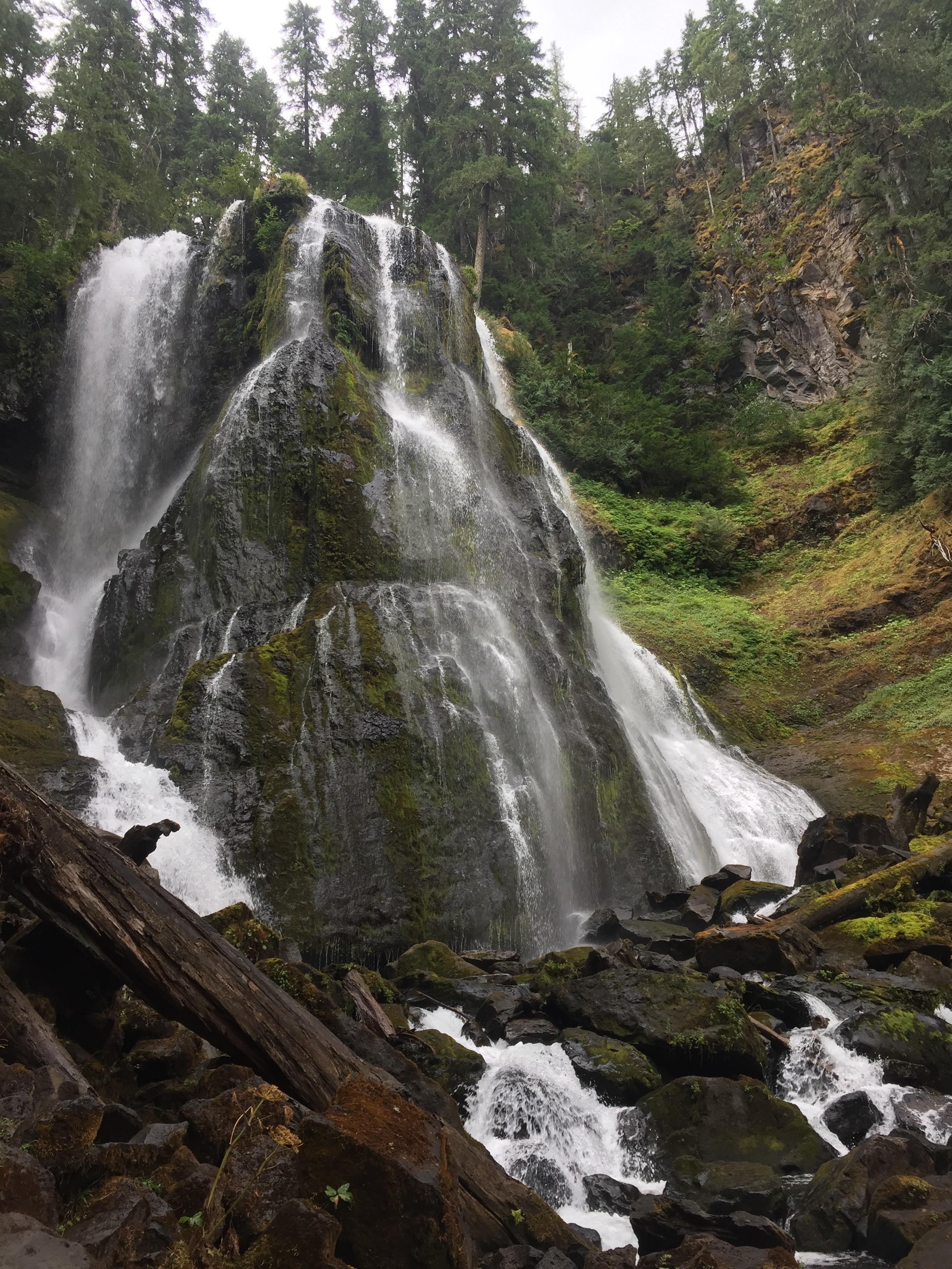 Falls Creek Falls, WA. Still flowing strong in August r/Outdoors