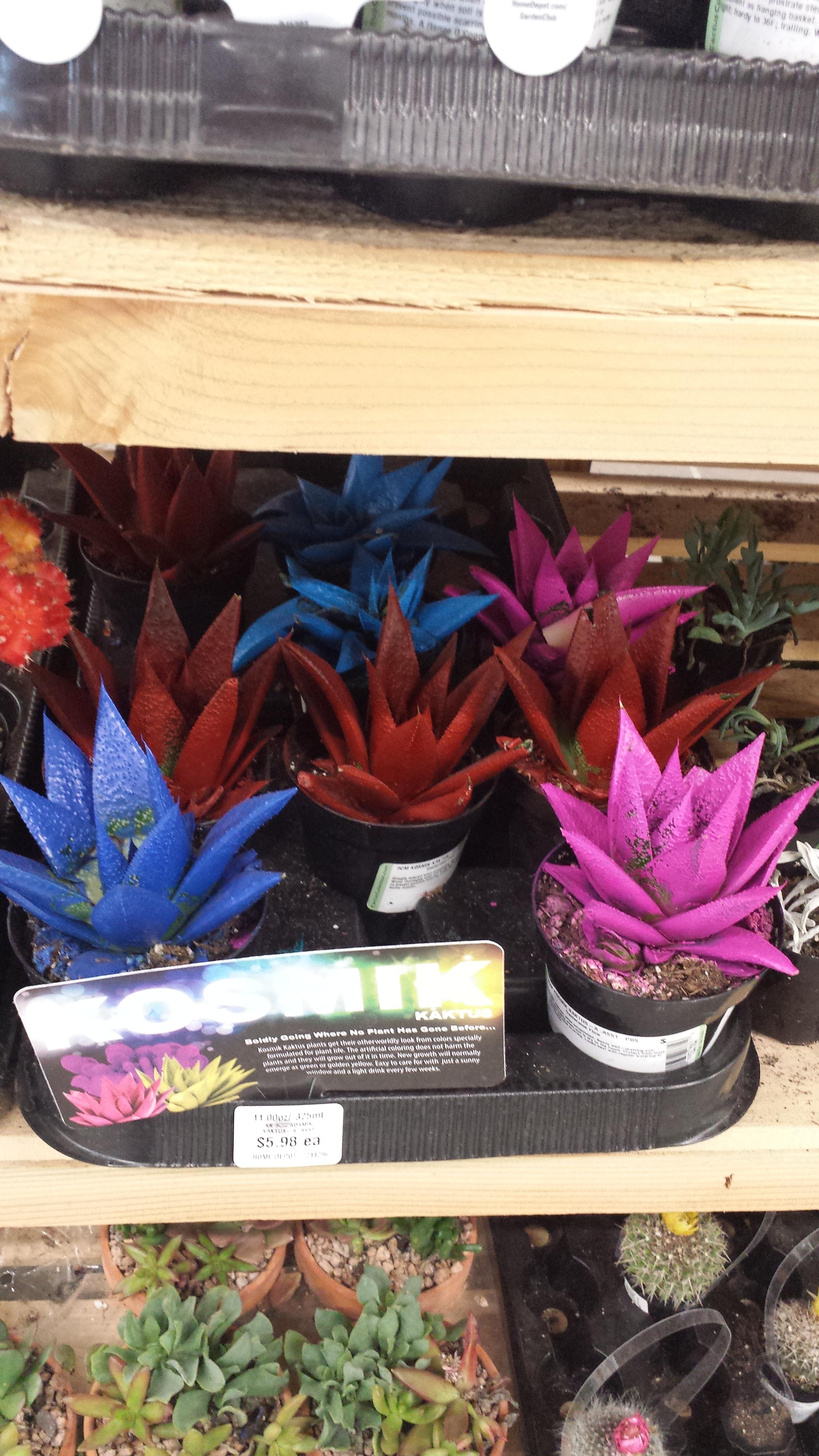 Stop spray painting plants home depot. Plants can't breath when they