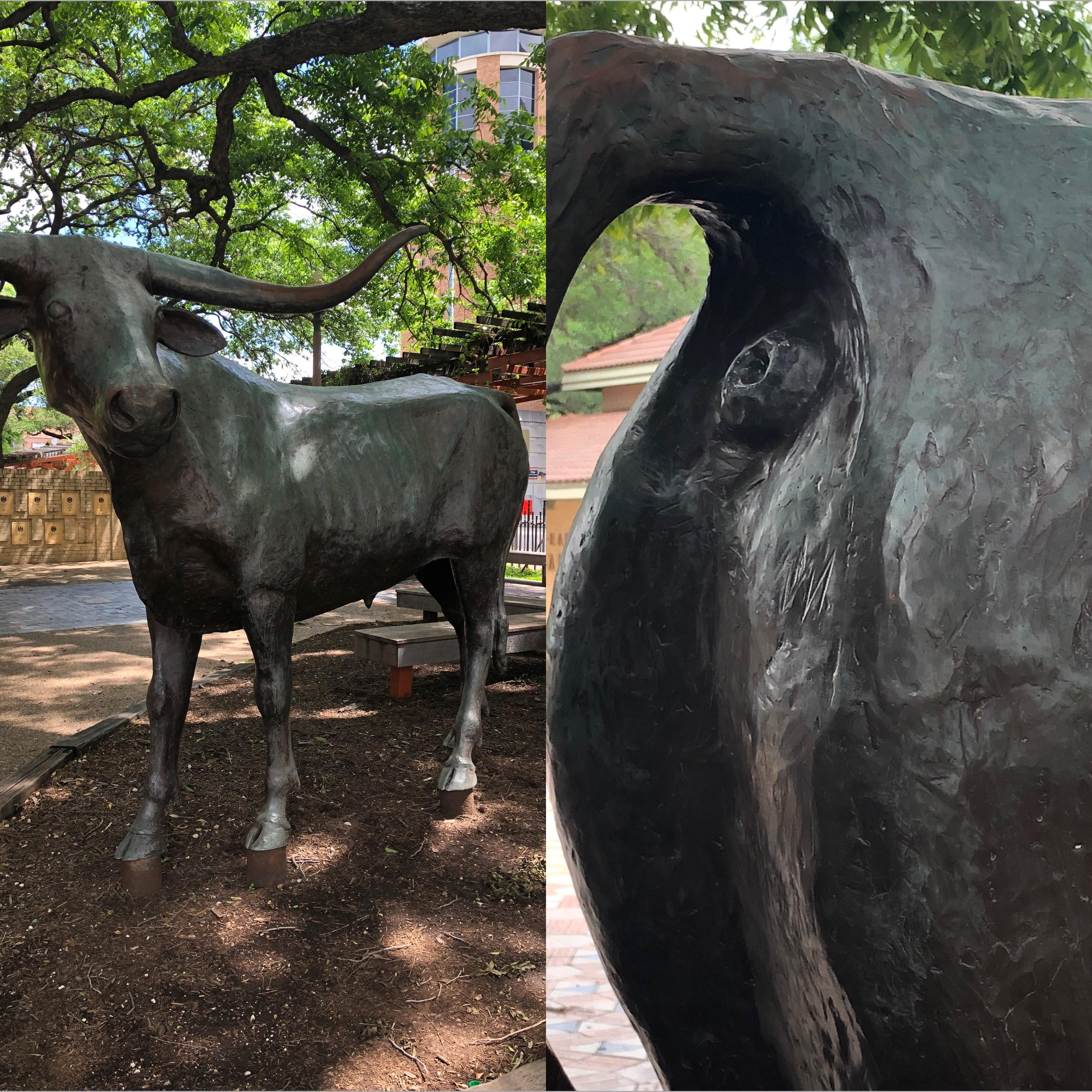 My campus longhorn statue has a detailed butthole under its tail. r