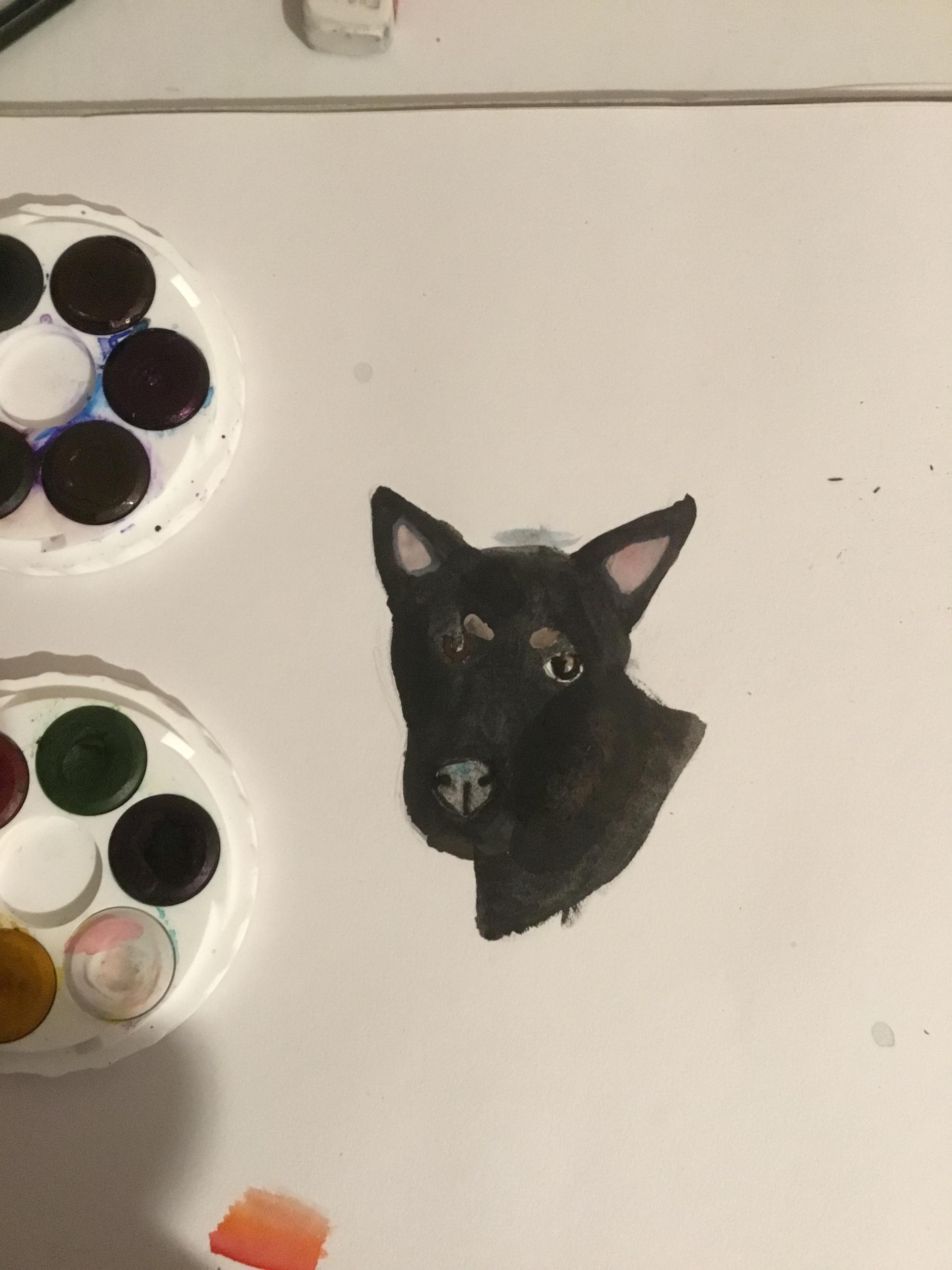 spencer💗 r/CrankGameplays