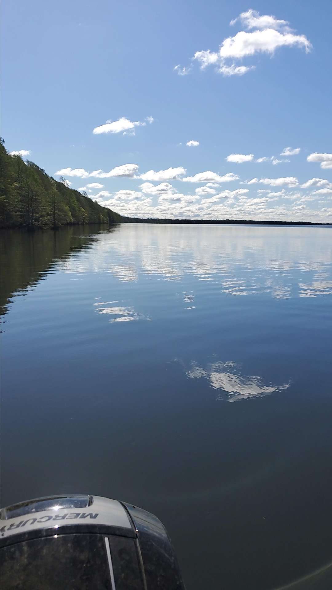 Phelps Lake NC. Only 2 boats there yesterday. Only caught 4. r