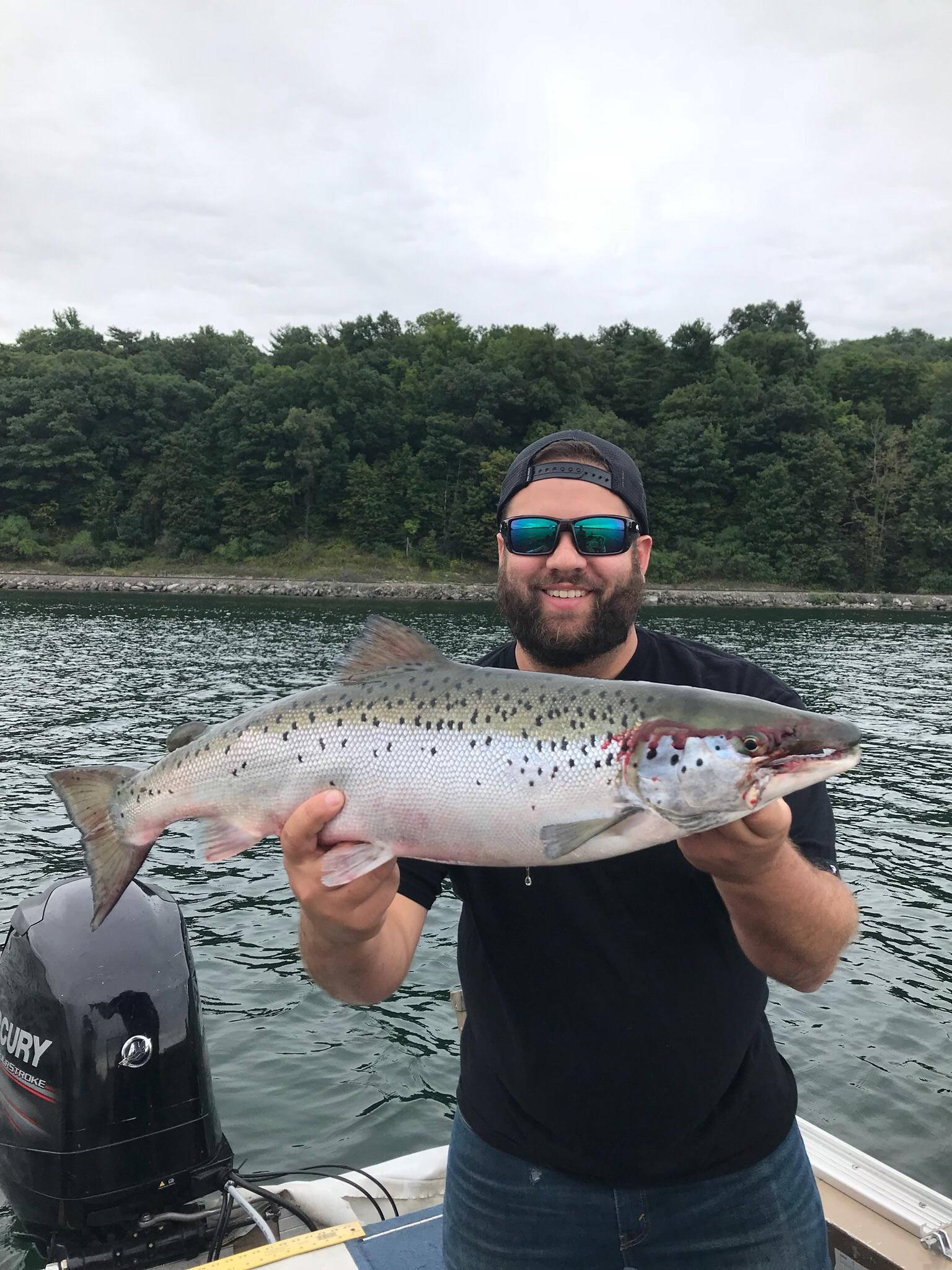 Landlocked Atlantic Salmon Cayuga Lake, NY (clean release) r/Fishing