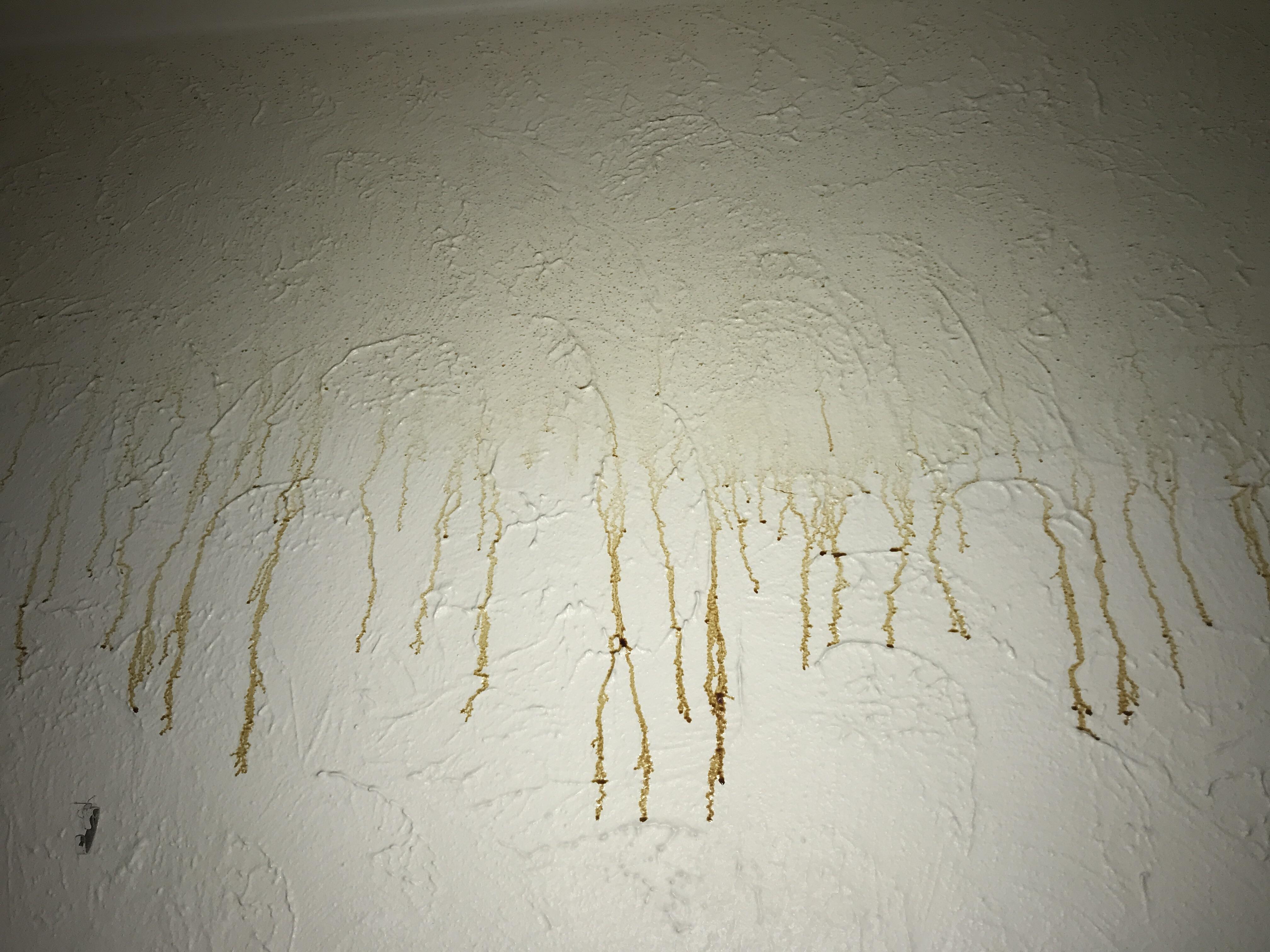Weird substance coming from my ceiling. Every time we clean it it comes