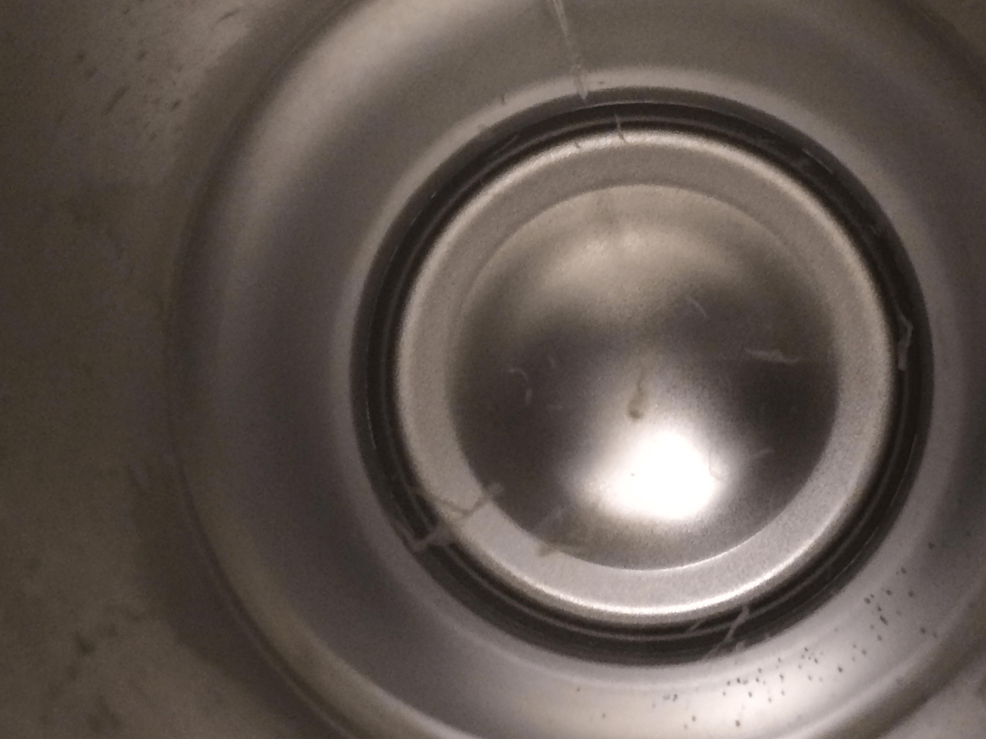 White wispy floating material in the water coming from my fridge