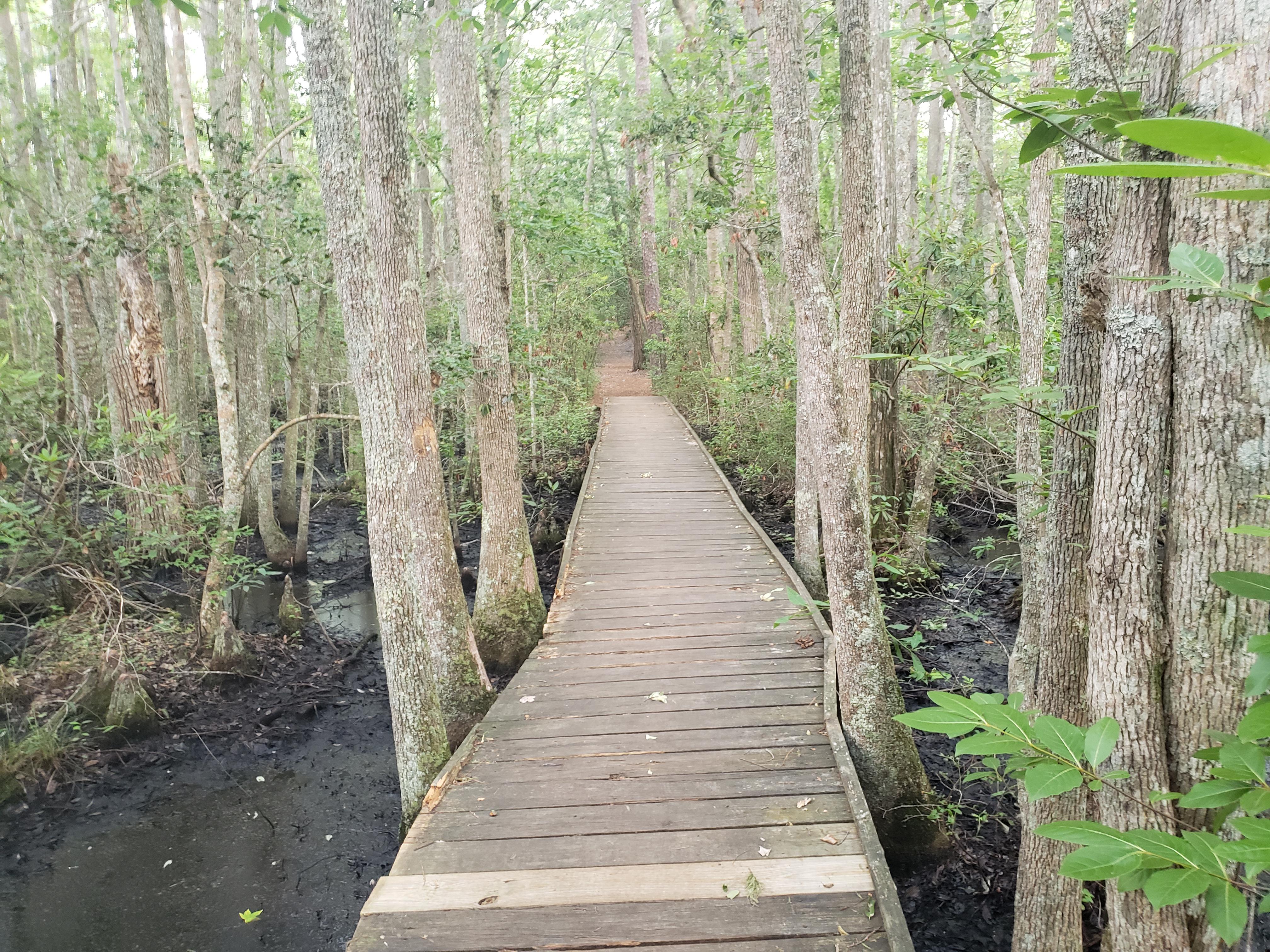 First Landing State Park Map Calendar 2024