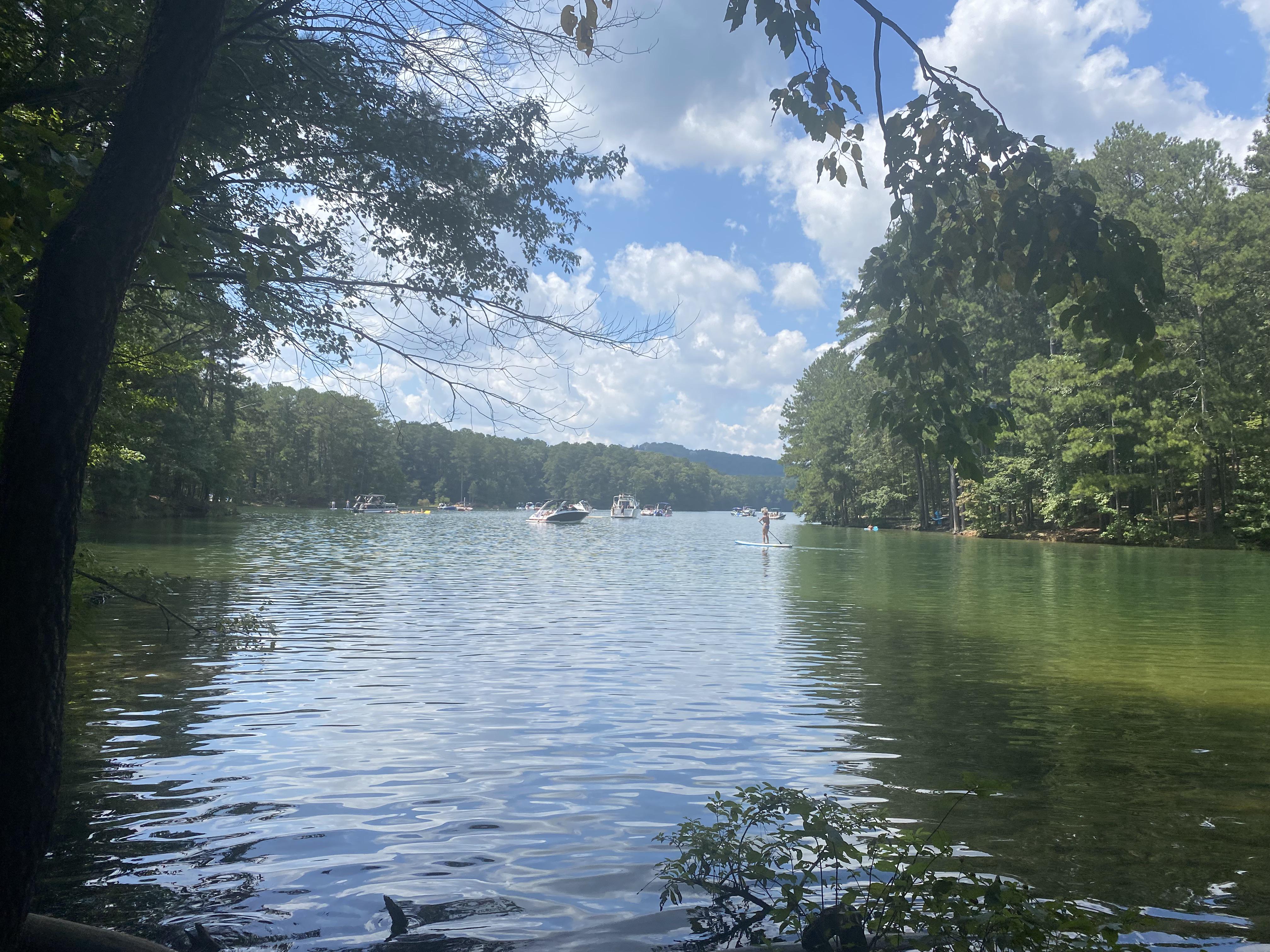 Red Top Mountain, GA. r/natureporn