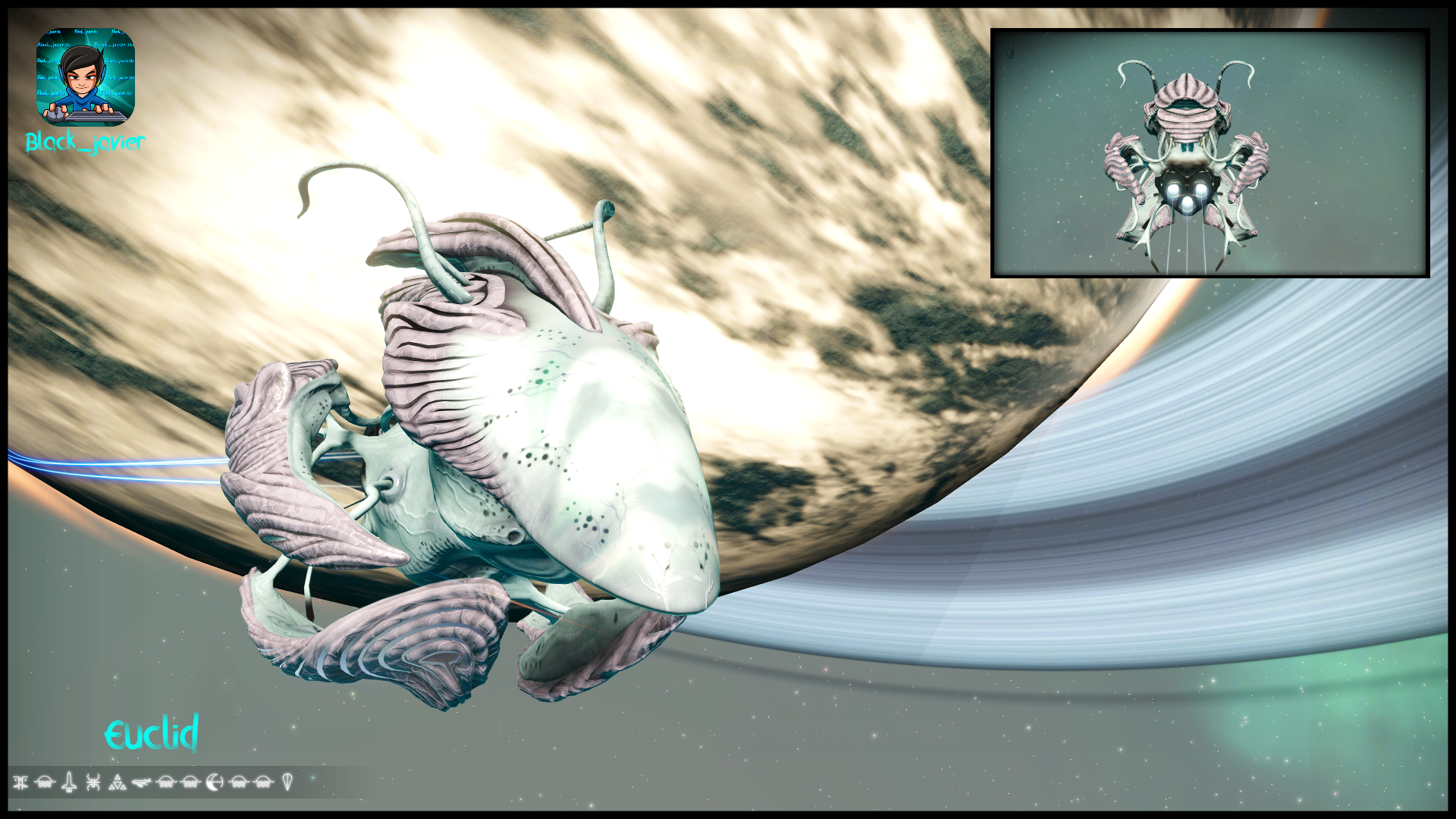 Starship Living Ship Color White & Pink Head Type Compact Mohawk