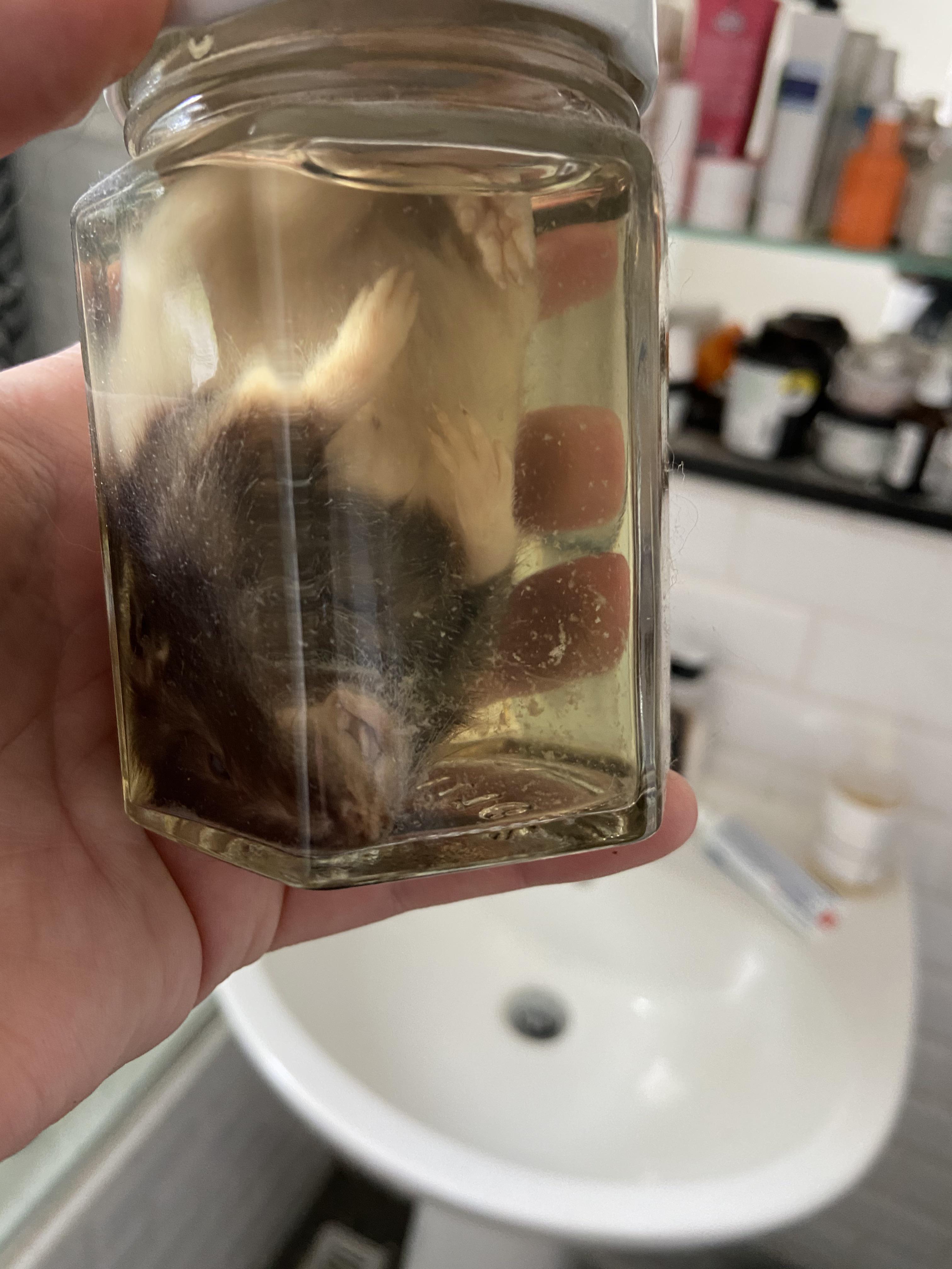 Hello! Can anyone tell me what the whore floating bits are? This