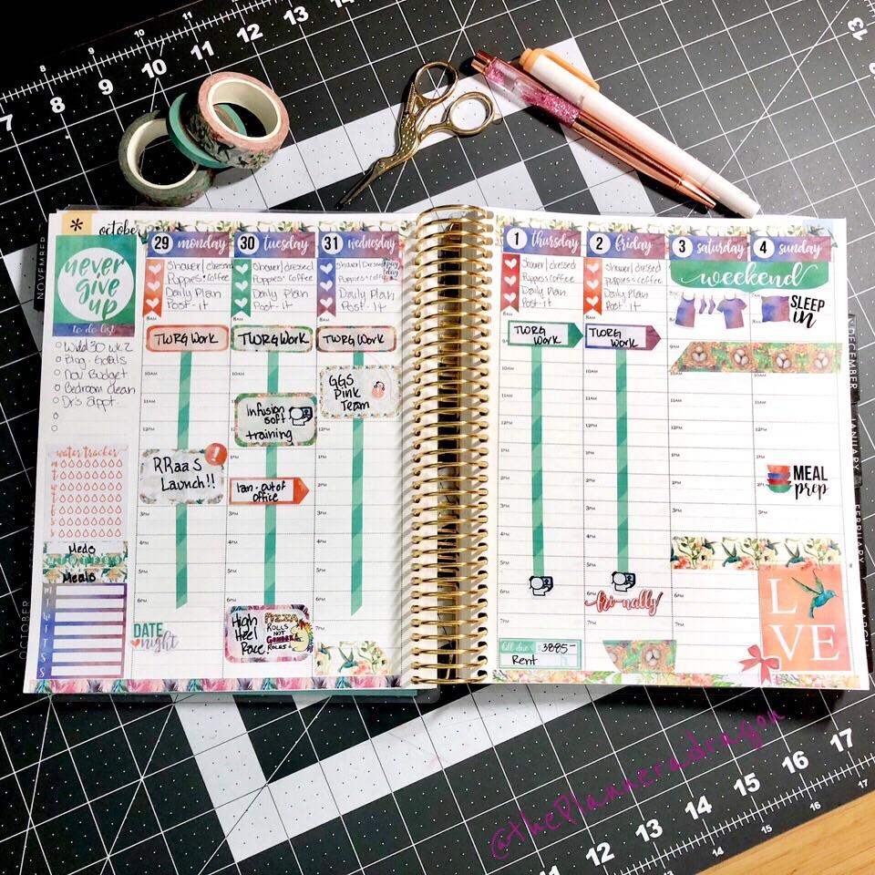 This week in my Erin Condren hourly with a kit from Bird Fly Studios