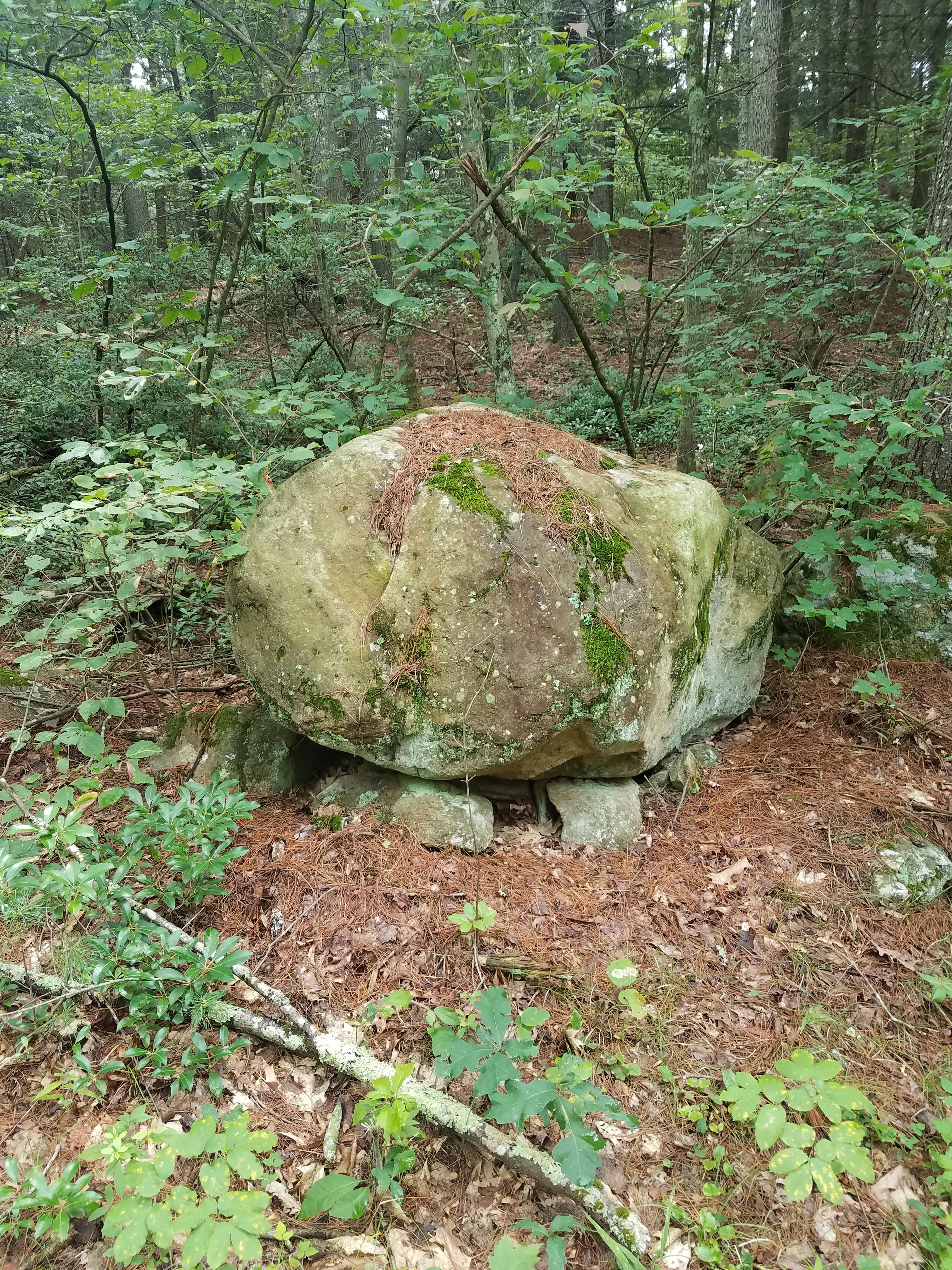 54 best Stone Talus images on Pholder Breath Of The Wild, Zelda and