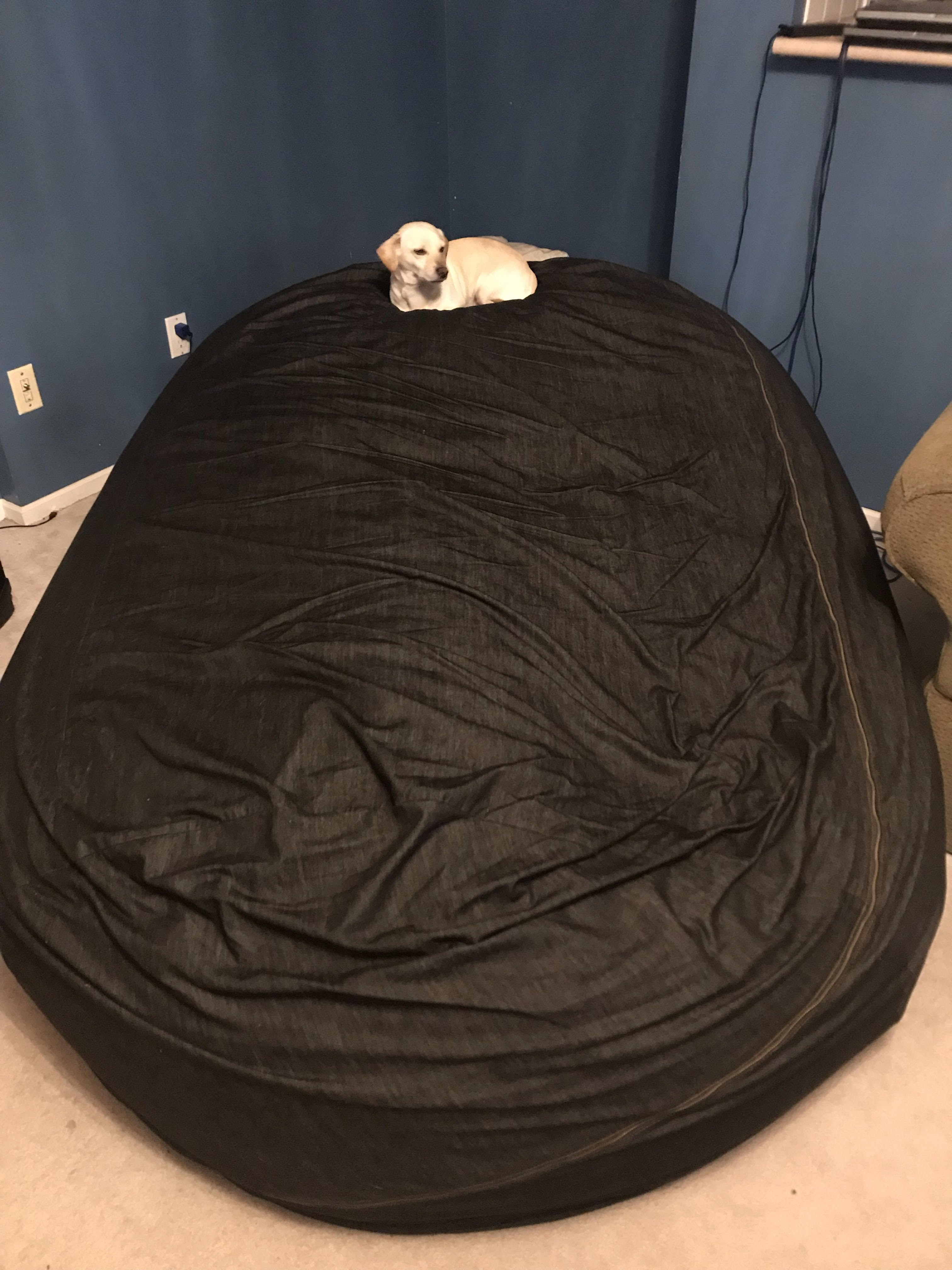 My dog seems very content with his new bed aww
