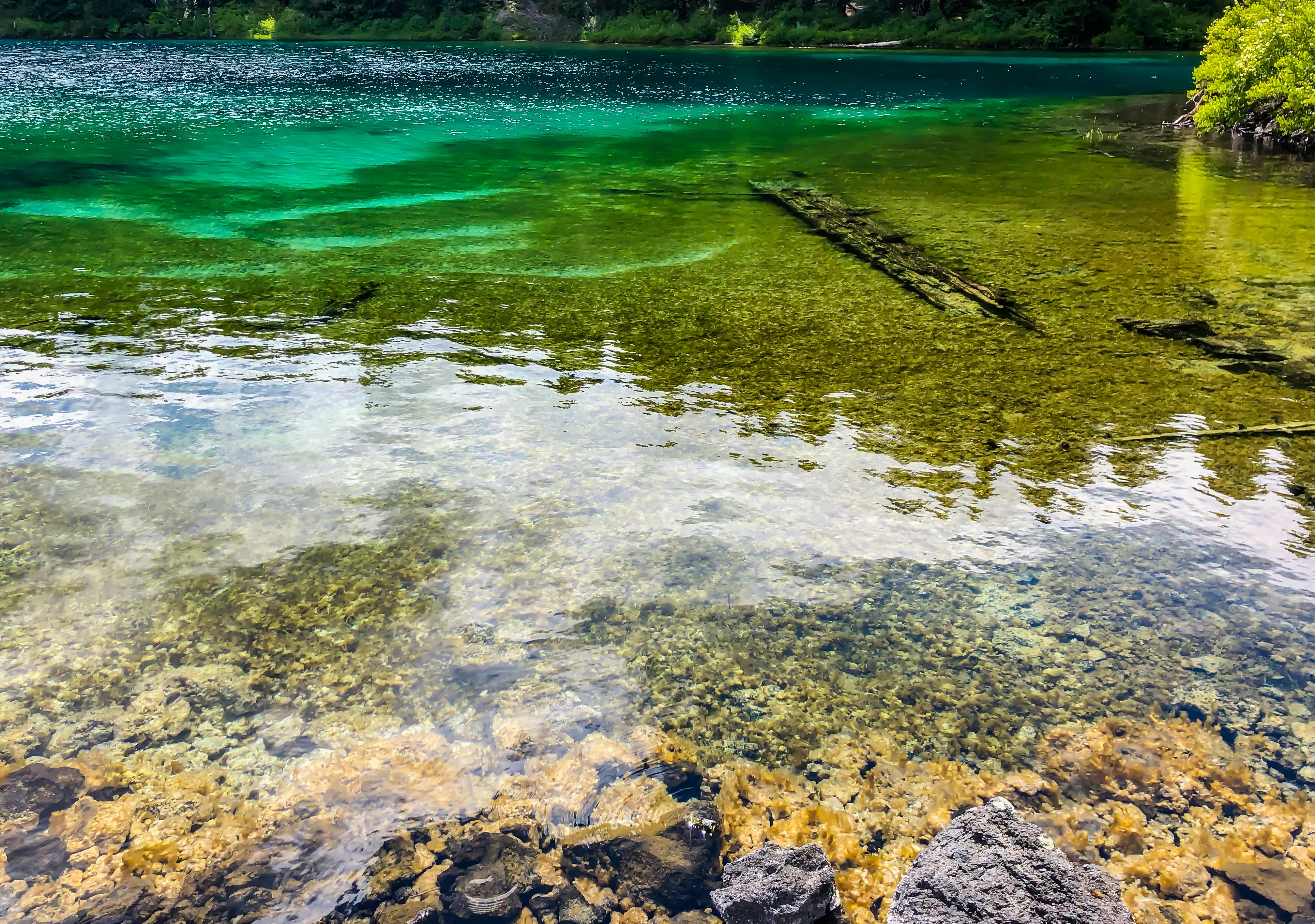 Amazing Colors at Clear Lake, Oregon [OC] [4032 × 2834] r/EarthPorn