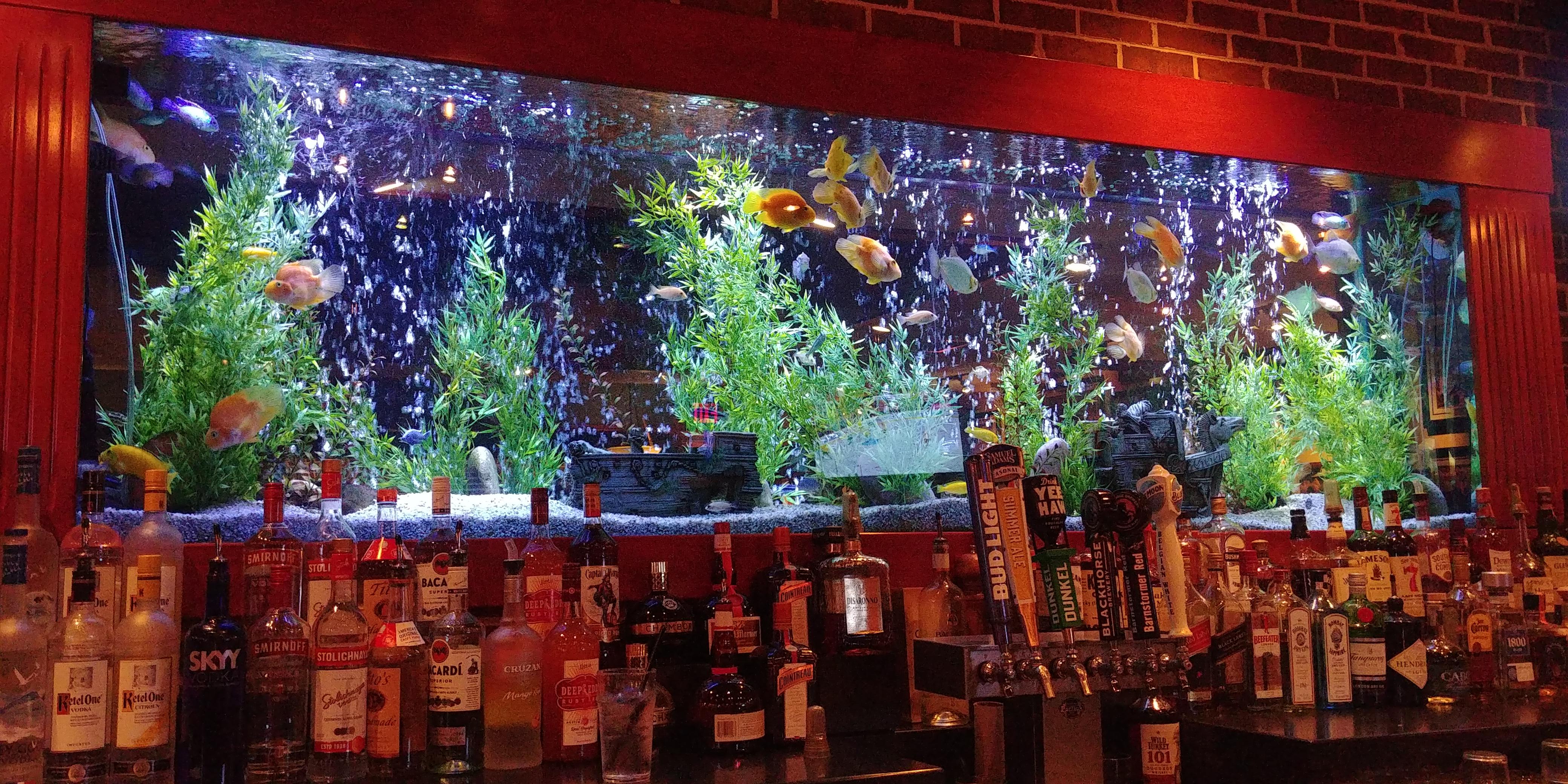 The tank at one of our local restaurants. r/Aquariums