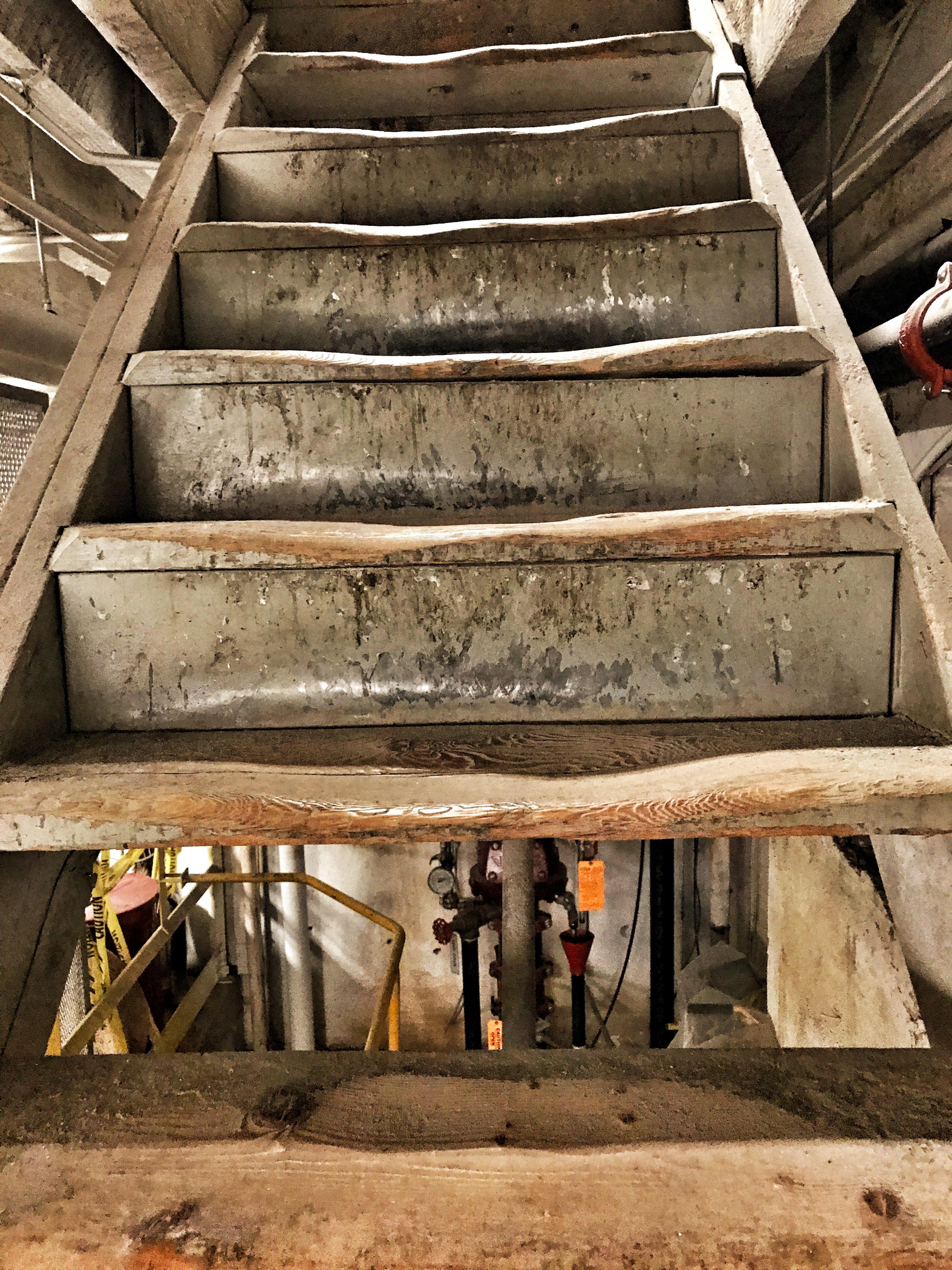 100yr old stairs, flattened from years of use. r/mildlyinteresting