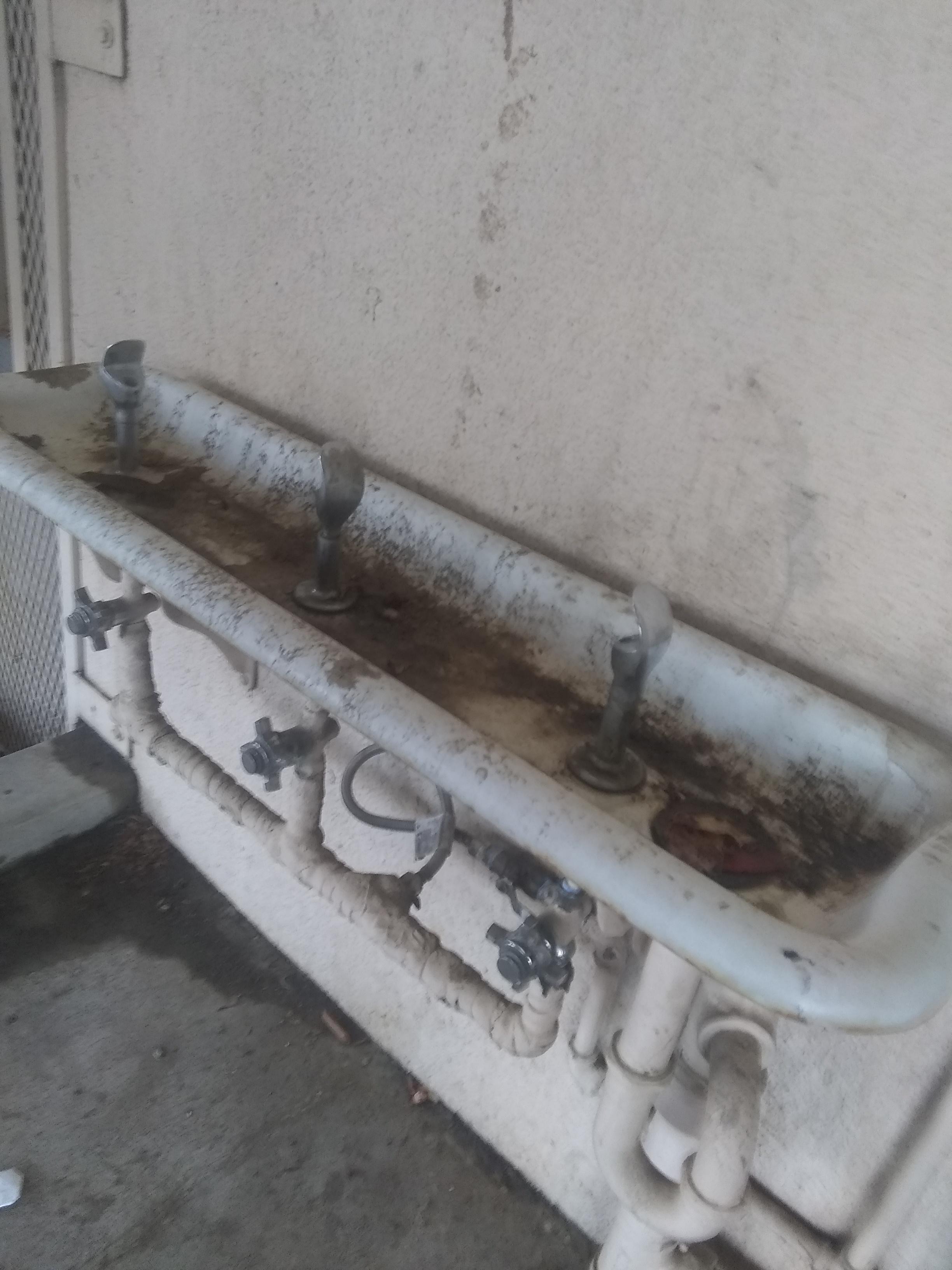 My school's gross water fountains r/teenagers
