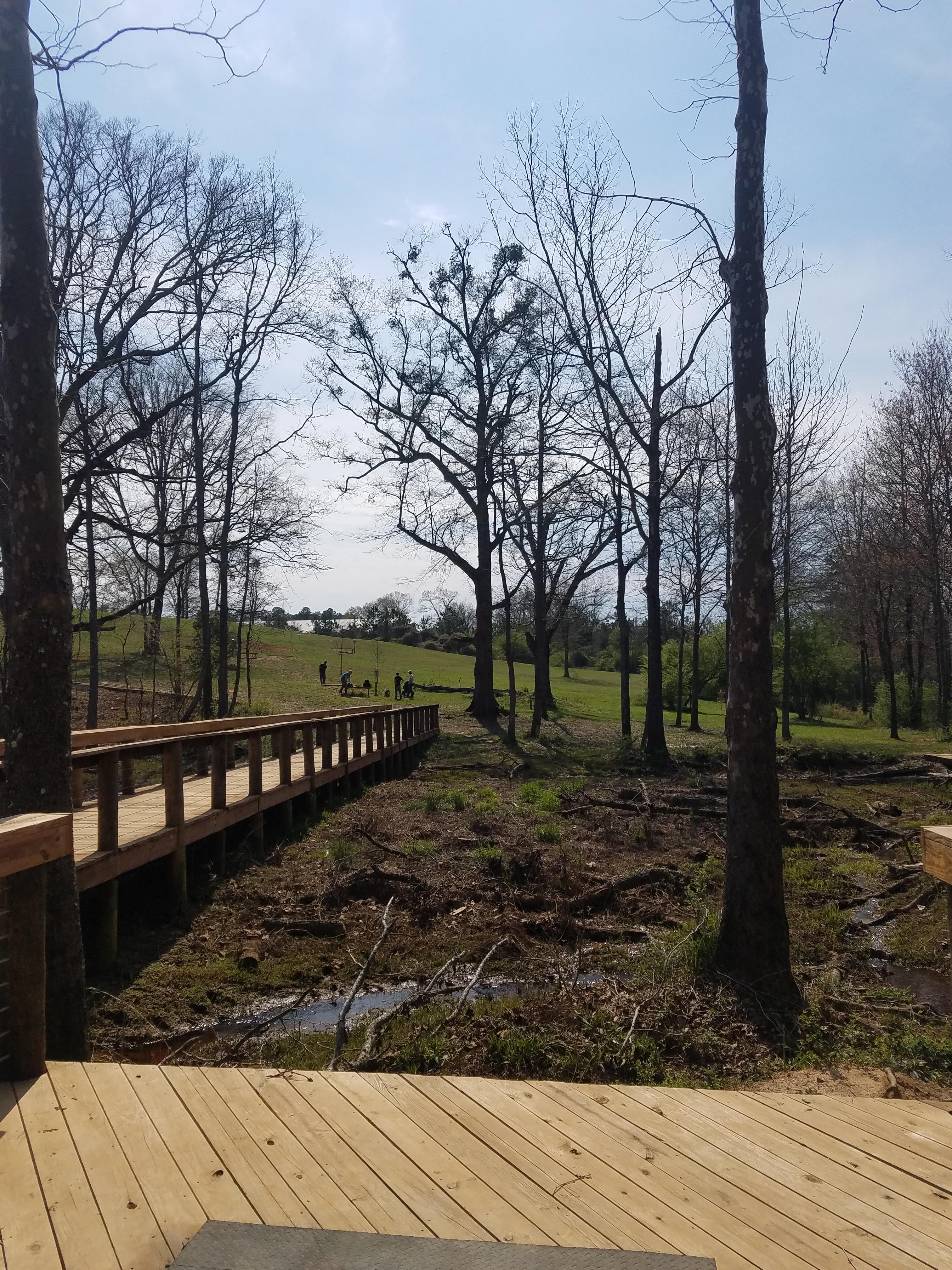 Hole 17 at Hobbs Farm in Carrollton, GA discgolf