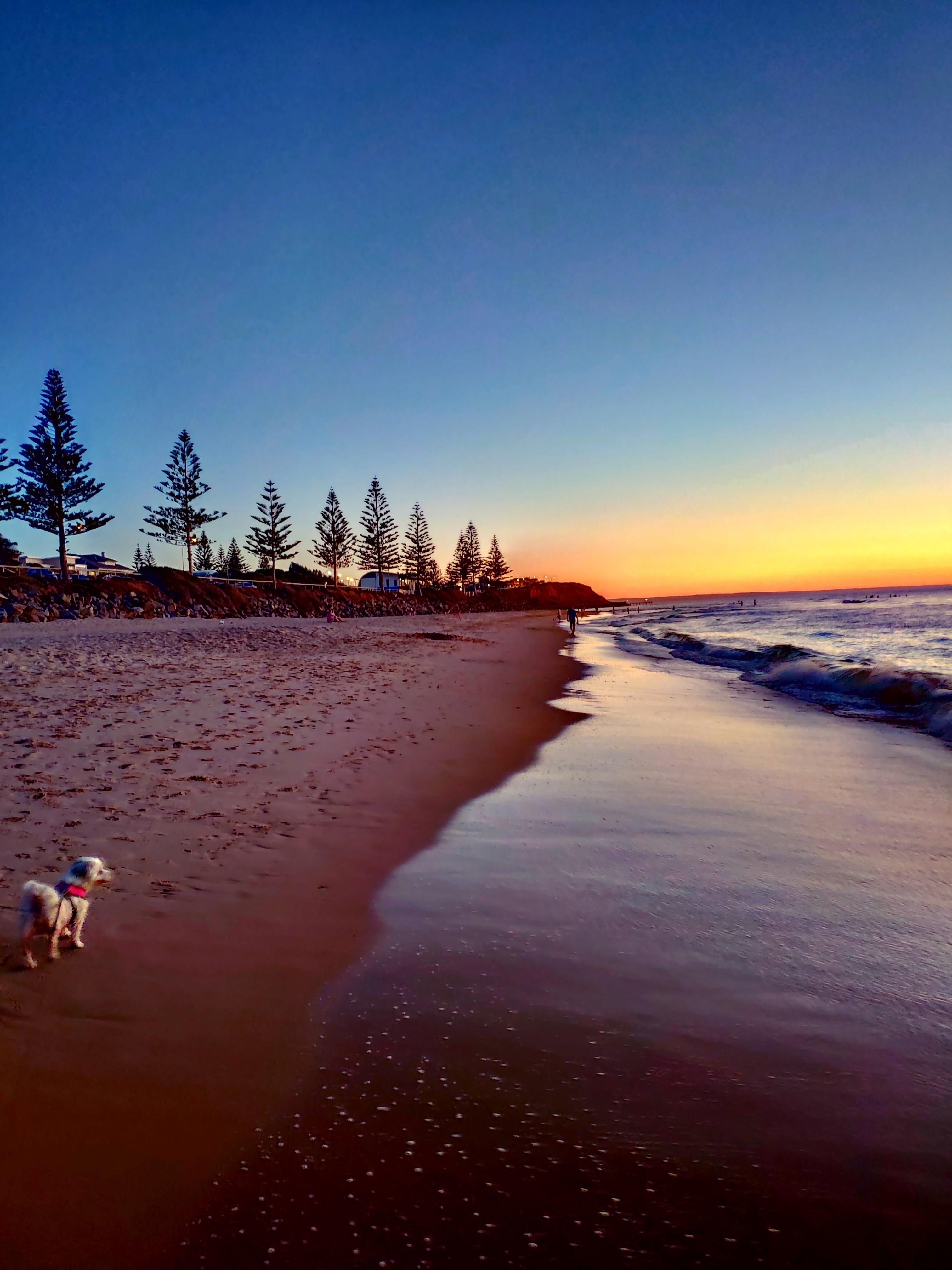 Christies beach sunset with filter but still r/Adelaide