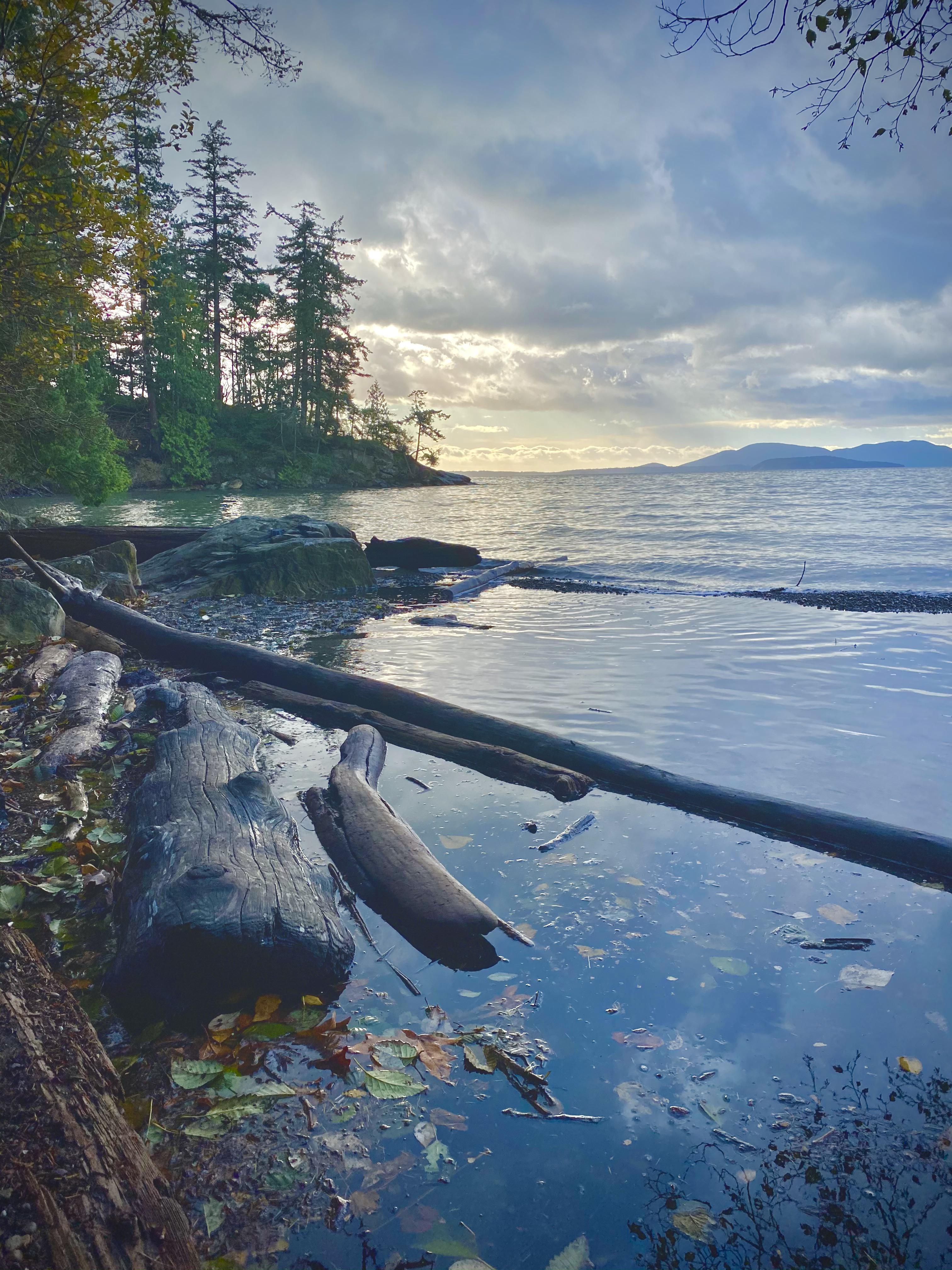 Chuckanut Drive, Washington [OC] [3800x3580] r/EarthPorn