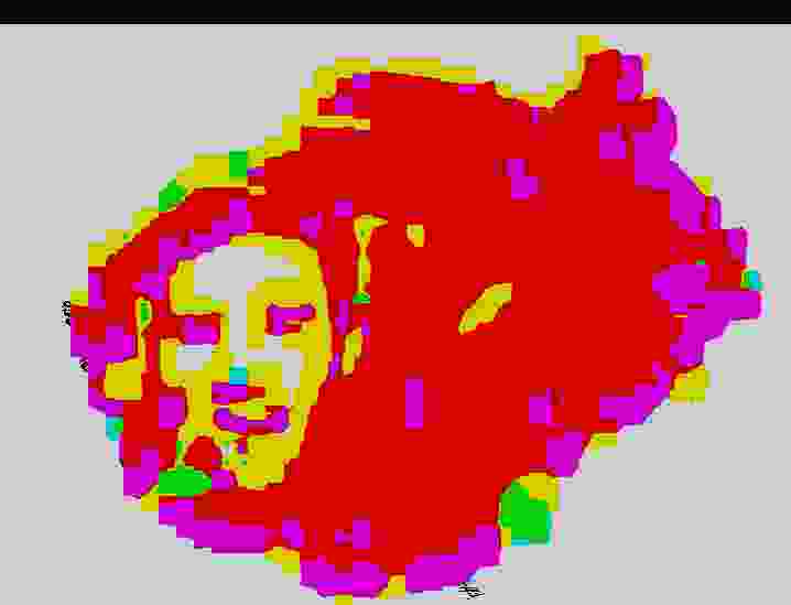I will deep fry this picture of Felix every day so it will be perfectly cooked for Thanksgiving