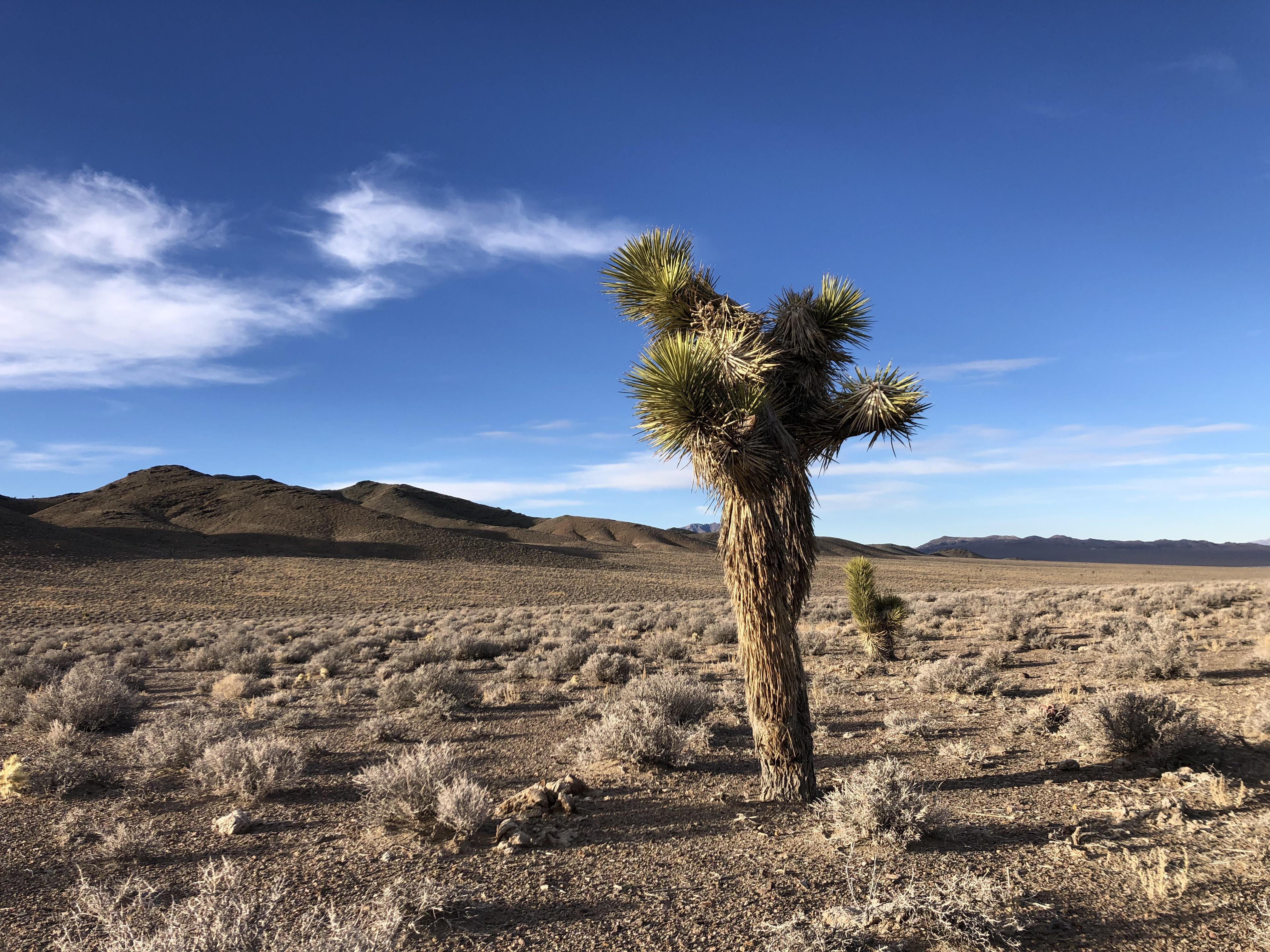 Remote Nevada Desert (OC 4032x3024) r/EarthPorn