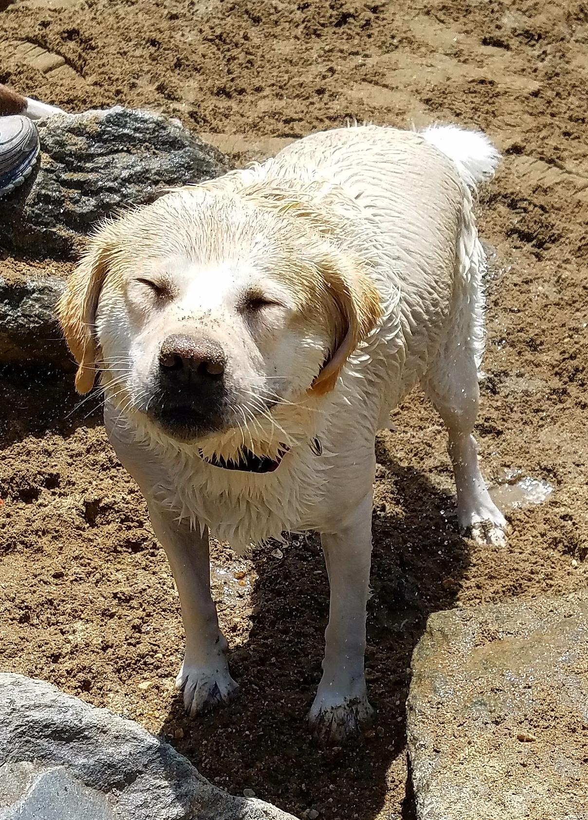 Love a squinty eye smile r/Eyebleach