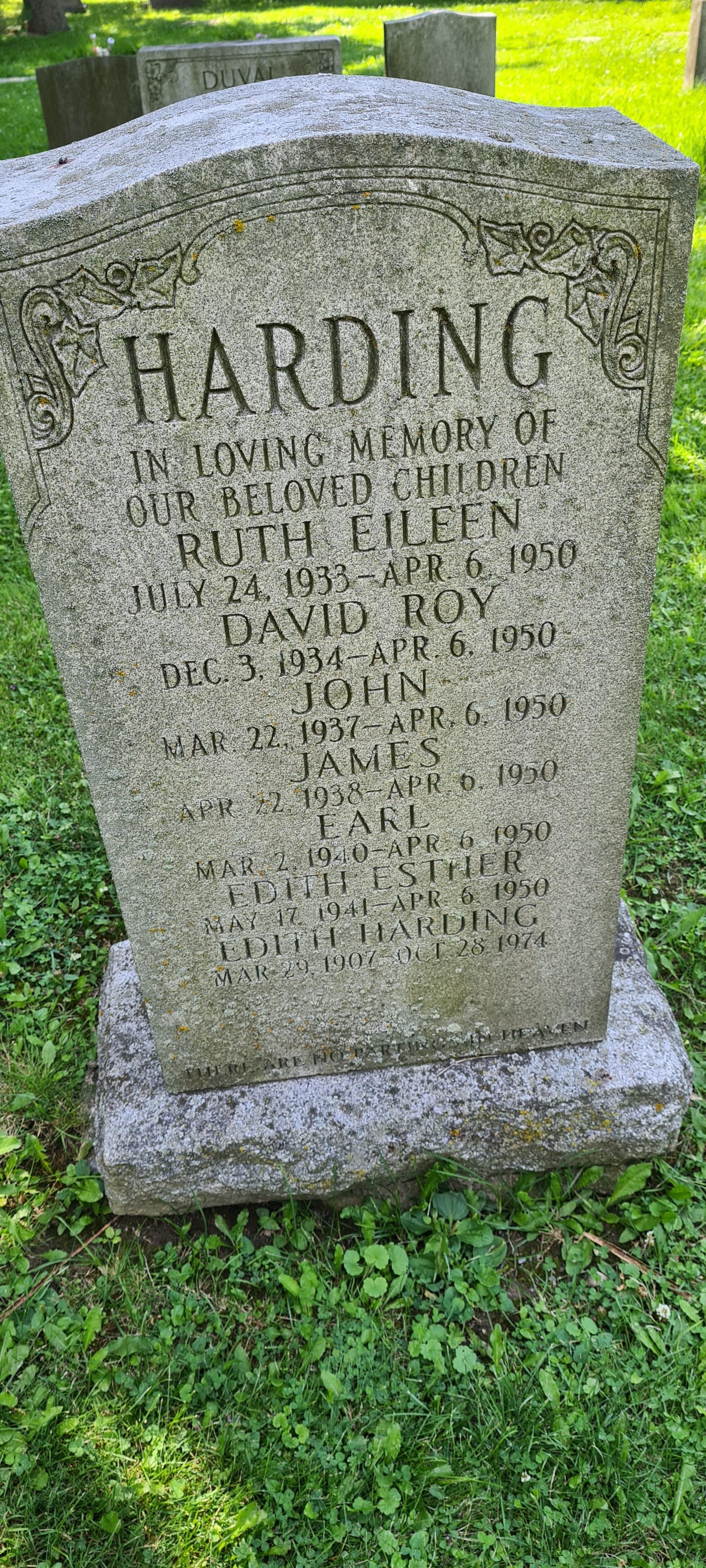 3066 best Prospect images on Pholder Brooklyn, Fifa Careers and