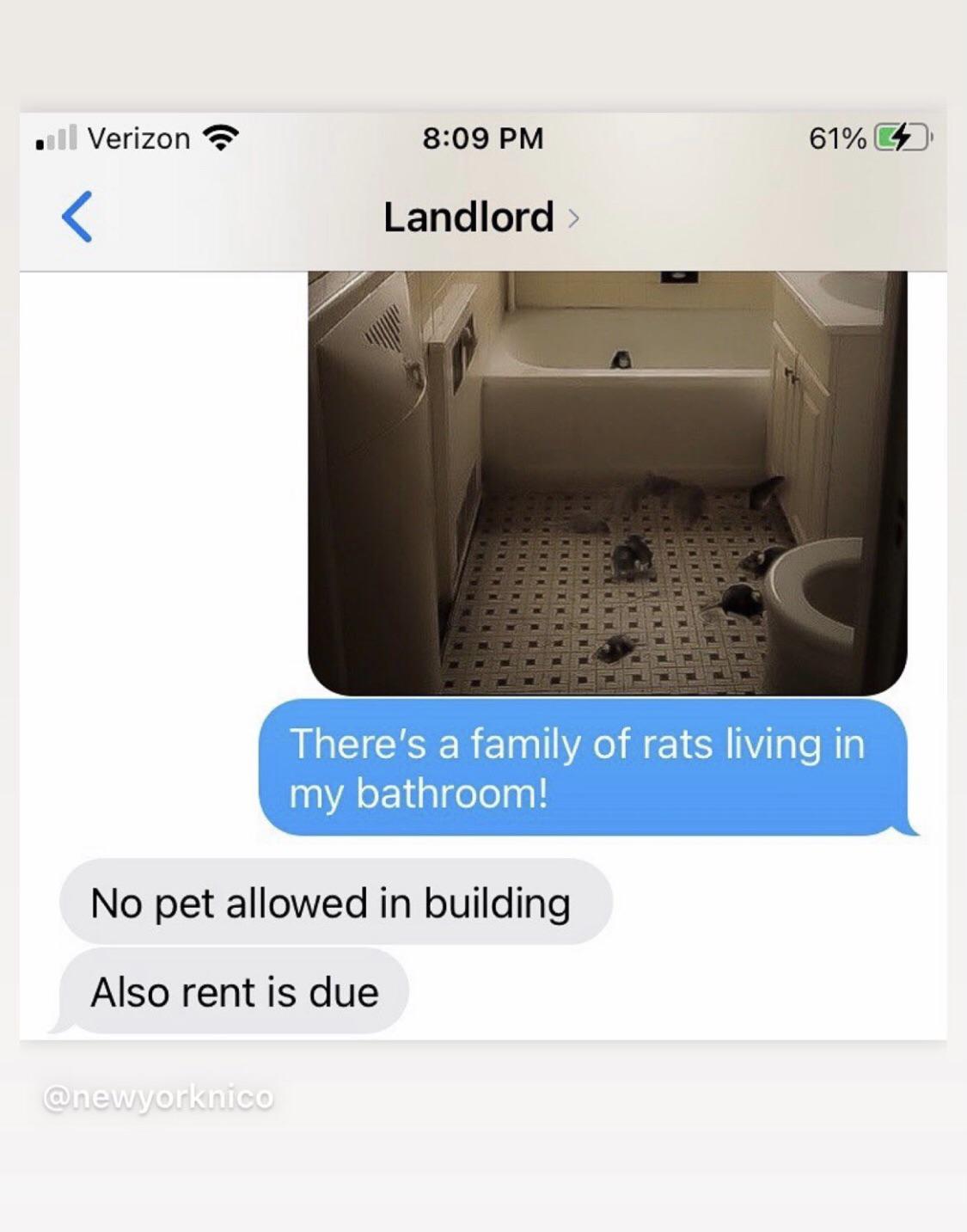 NYC landlords like... LandlordLove