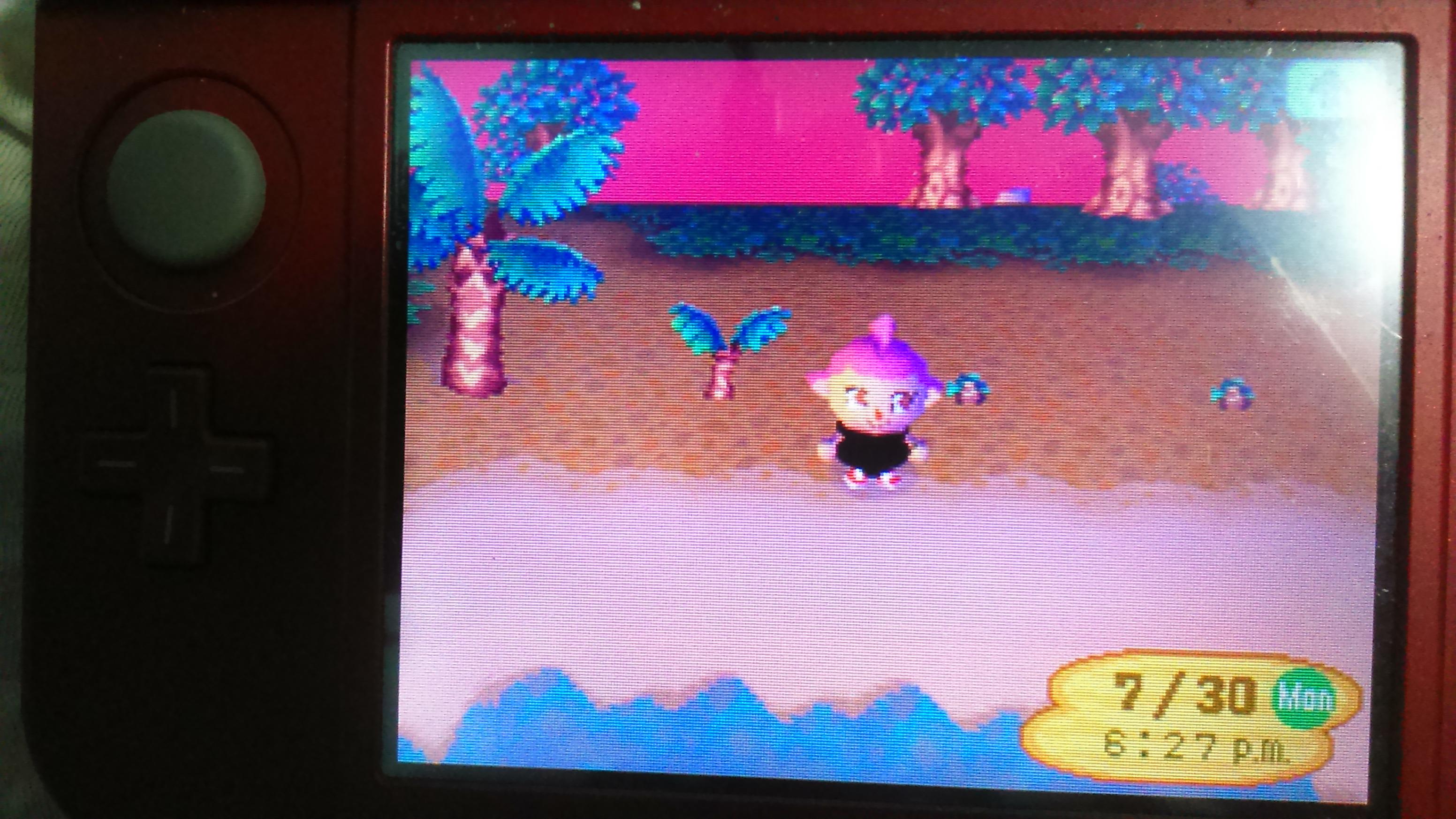 Why can't I plant more coconut trees? The new ones are dying even