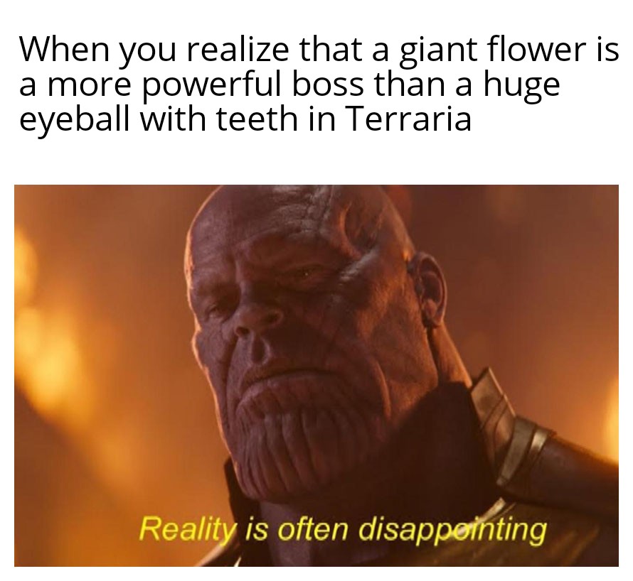 Flowers smell good r/memes