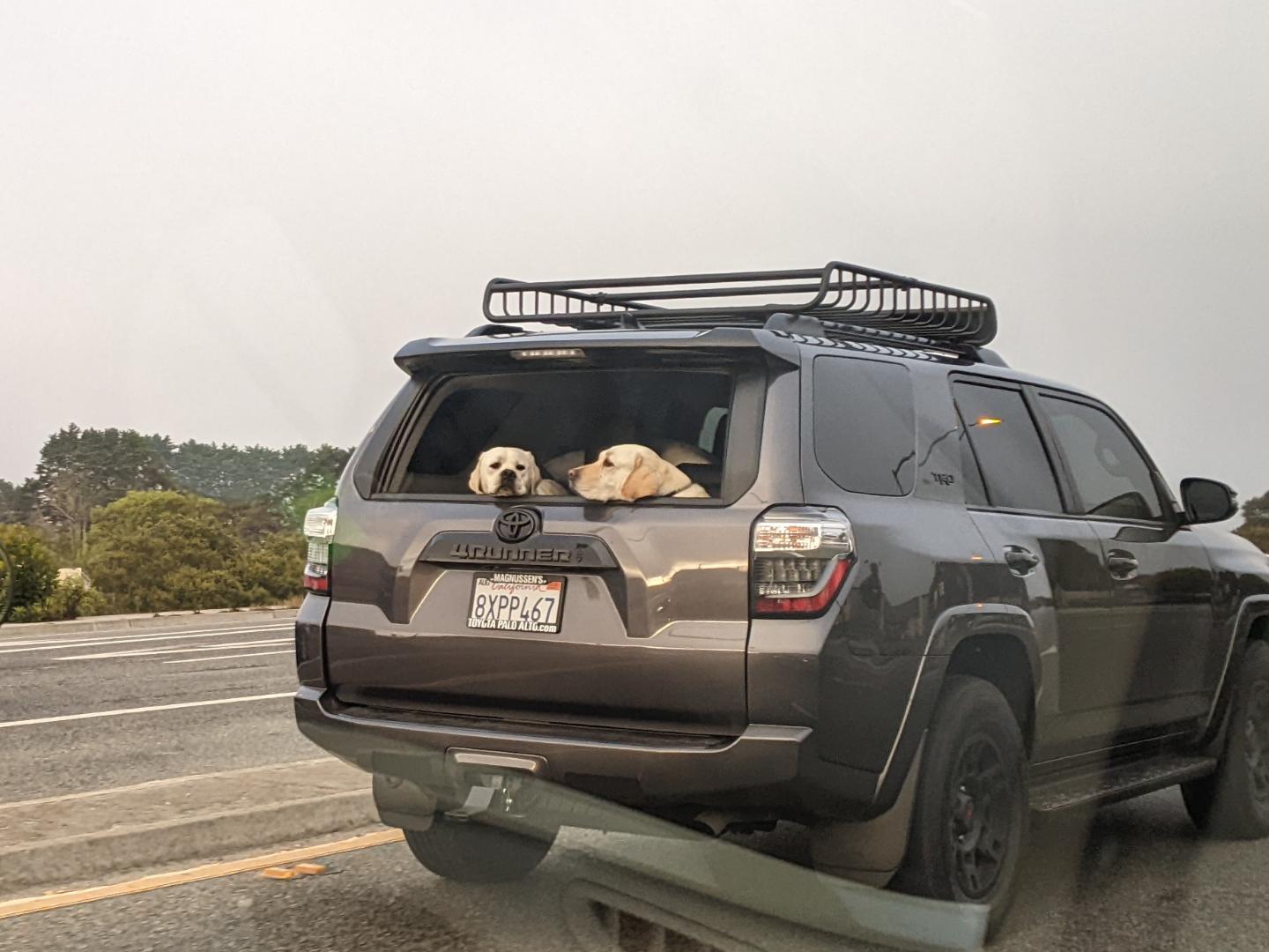 Going to be visiting Victoria in late October for 2 full days