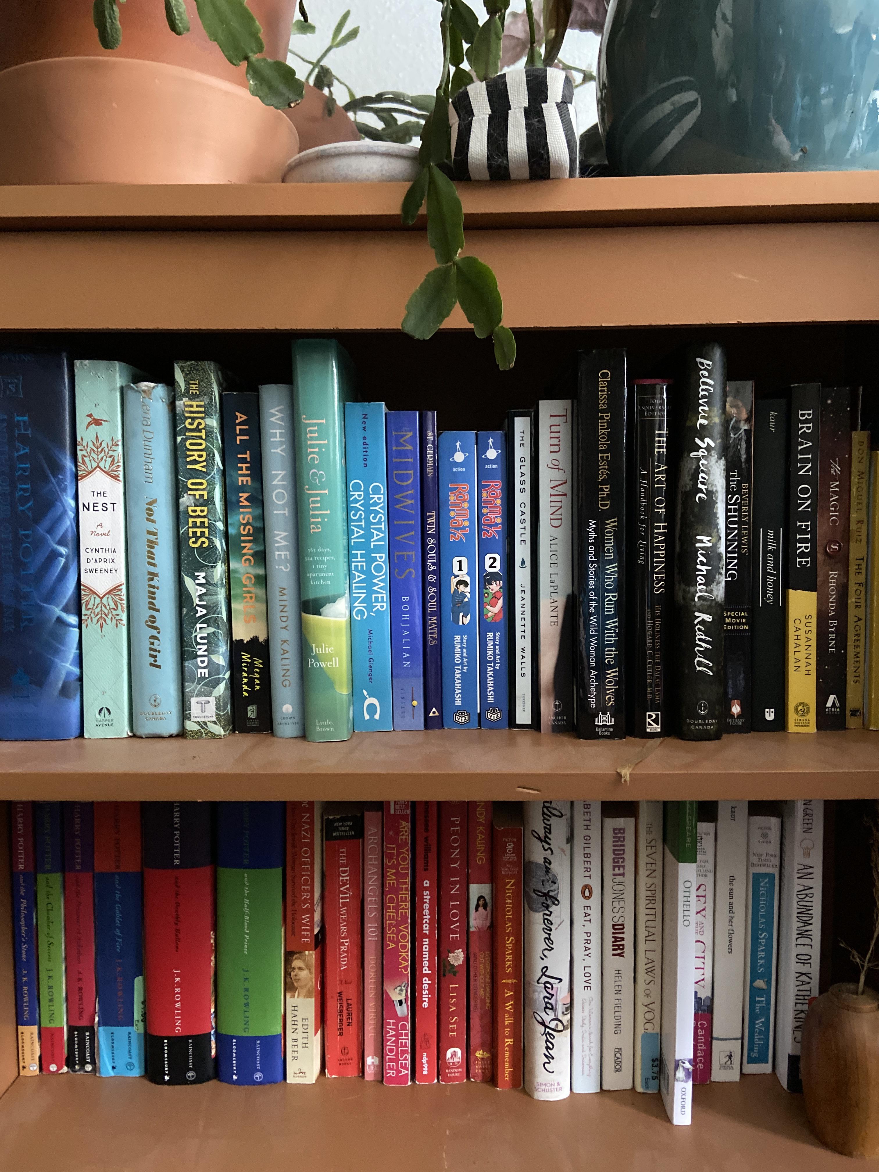 Colour coordinated one of my bookshelf’s bookshelf