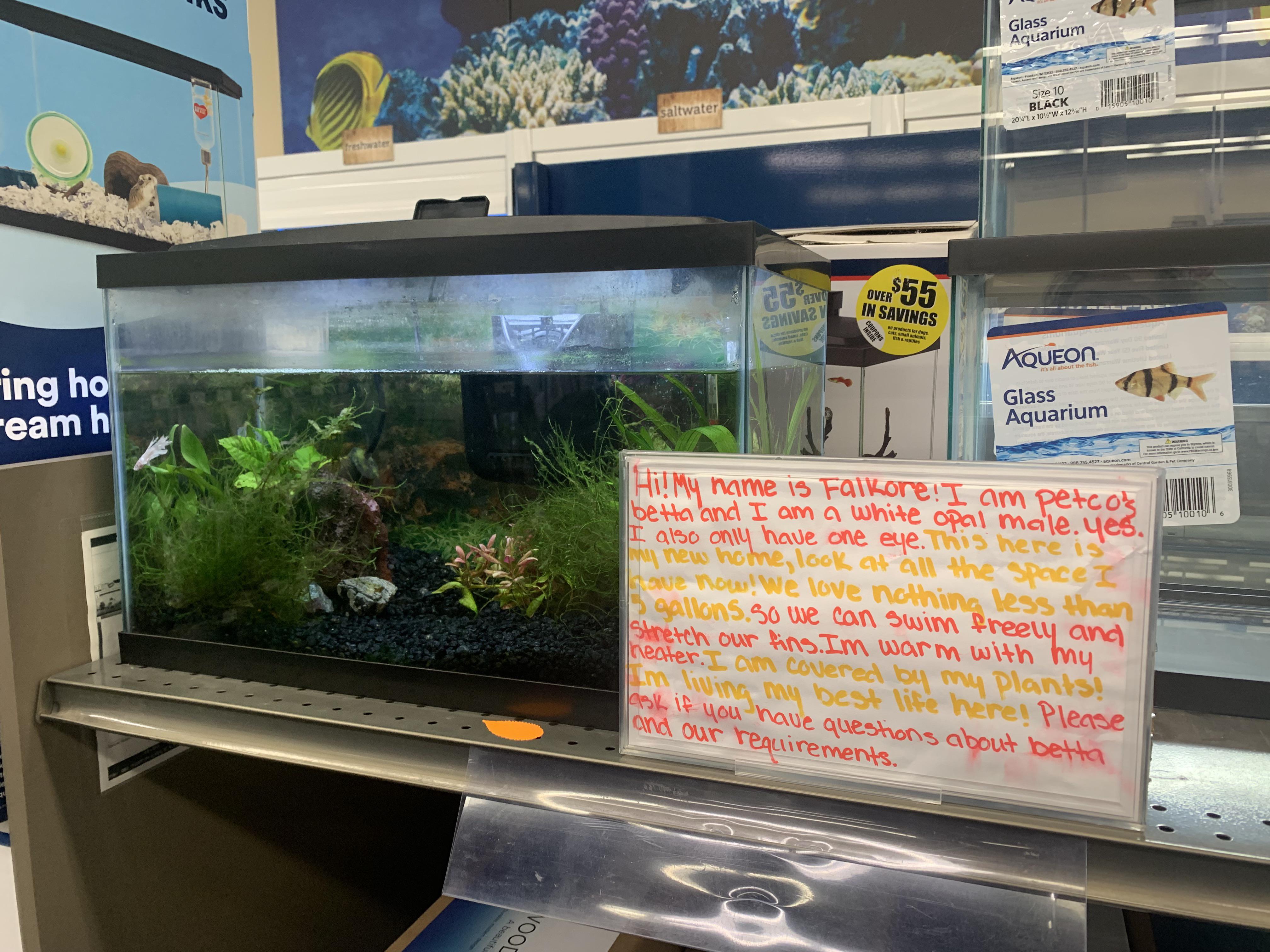 Petco near me cares! They also had signage about cycling. r/Aquariums
