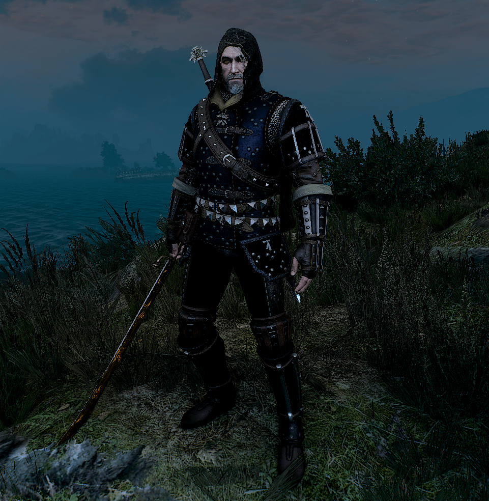 Grandmaster Legendary Feline Armour with the hood). r/witcher