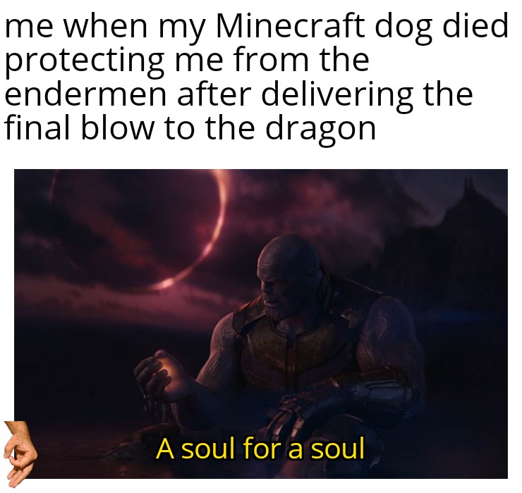 God bless the wolf. You too. May God bless you memes