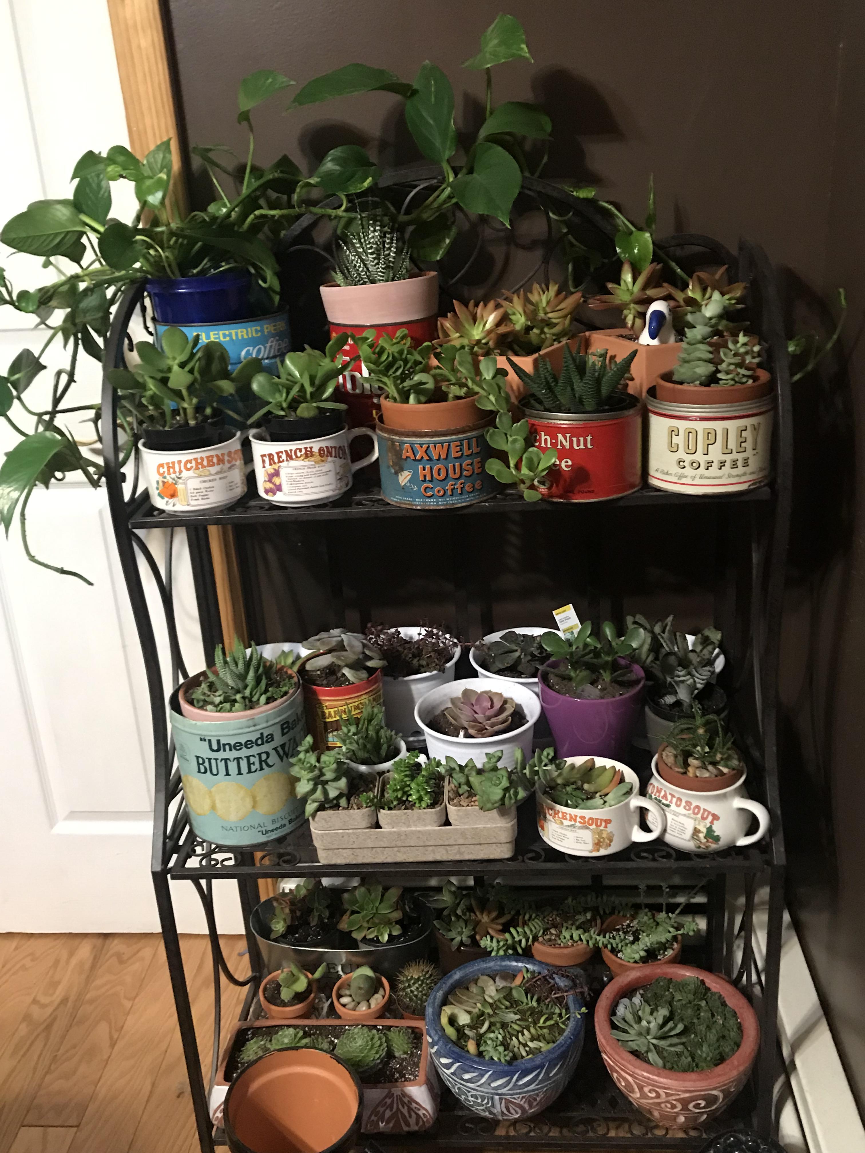 This is about 75 of my family 😁 they’re all gathered around for fall