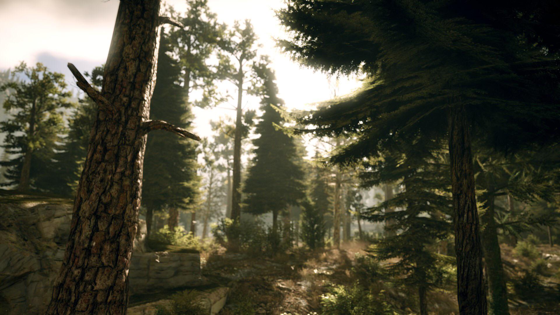 Easily one of the best looking games of the past decade r/Wildlands