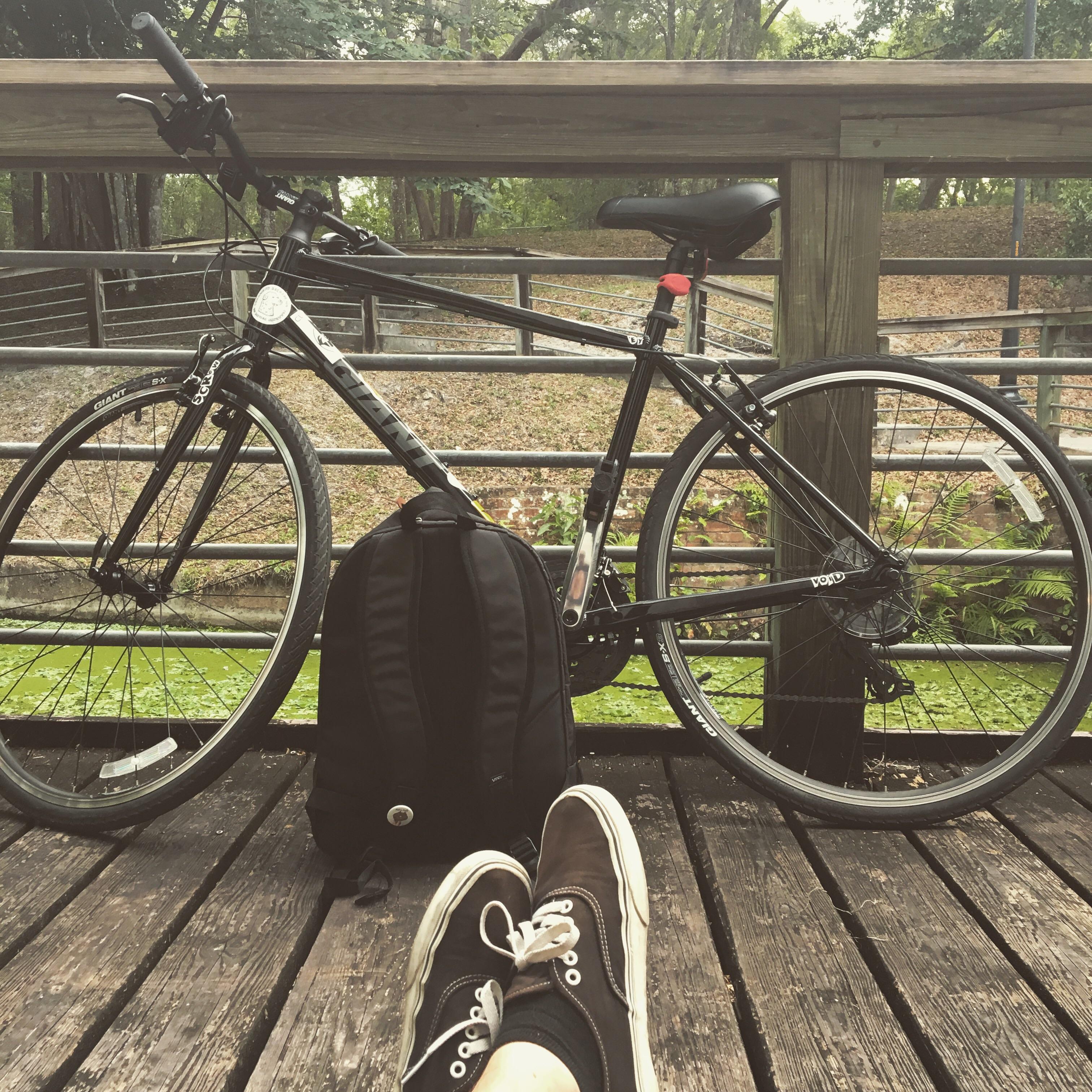 Biking in Gainesville, FL is painful but wonderful. r/bicycling