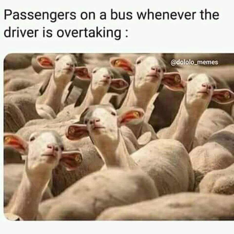 12+ Dololo Memes Funny Pics Factory Memes