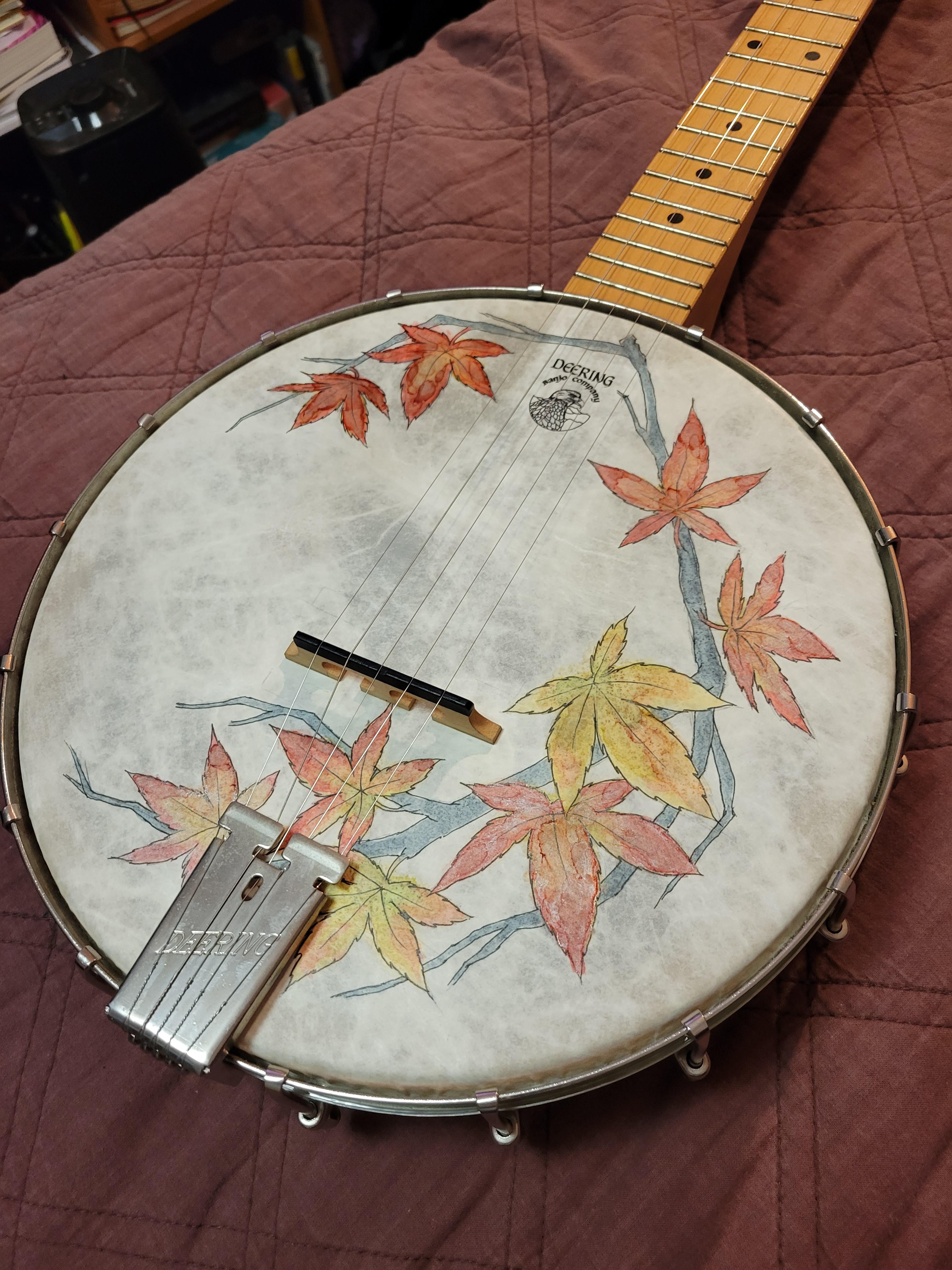 Banjo Head Art