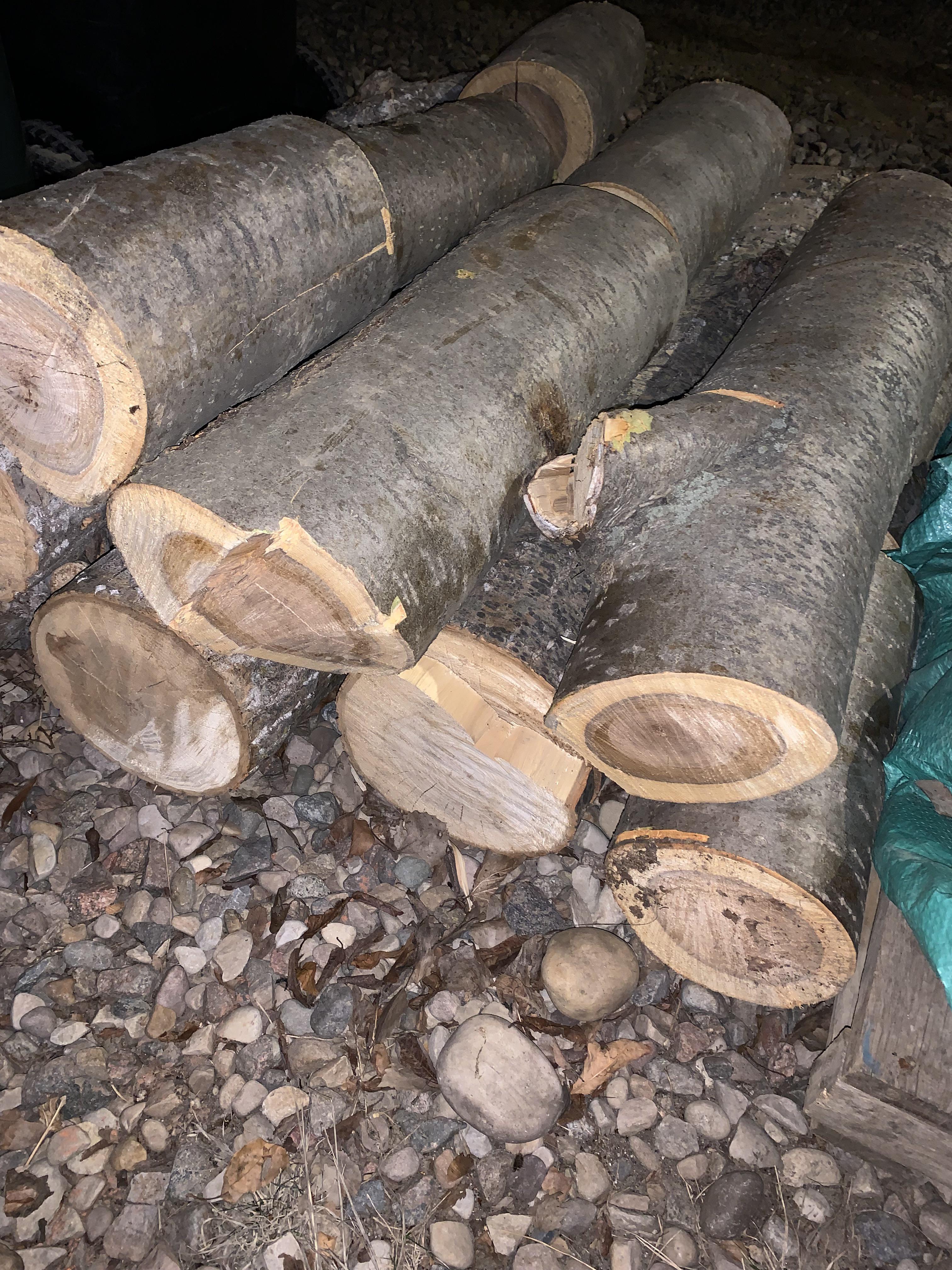 Wood ID, Alberta, Canada r/firewood